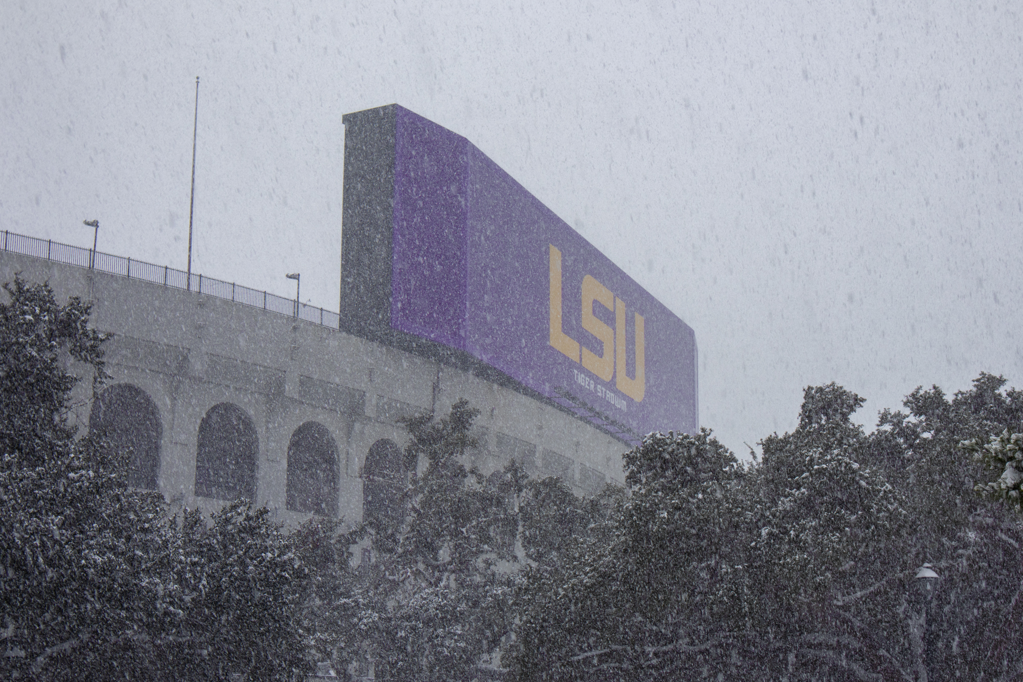 PHOTOS: LSU students enjoy rare snow day