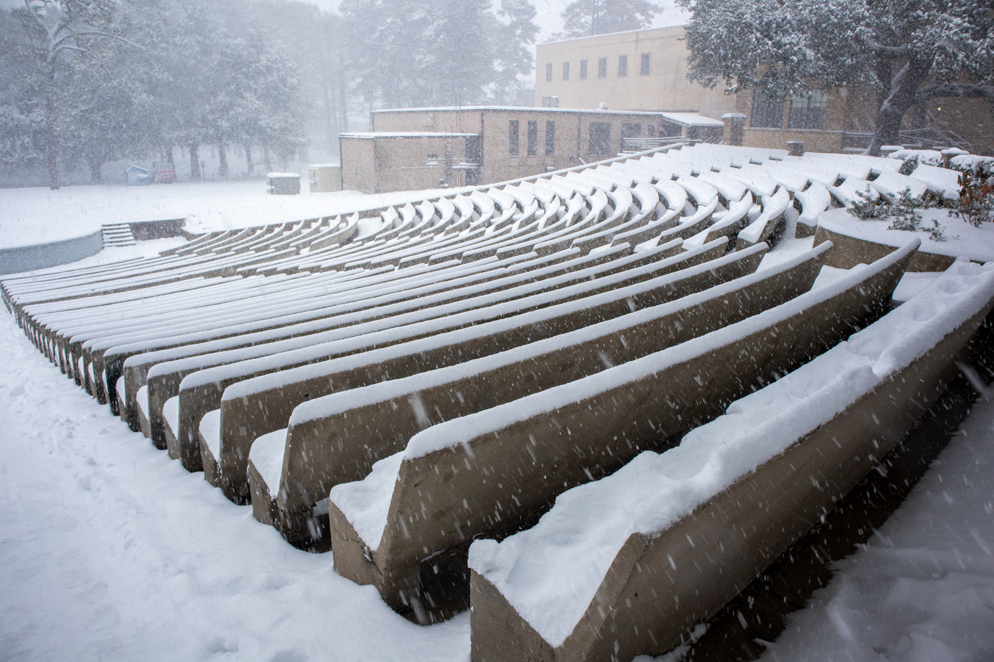 PHOTOS: LSU students enjoy rare snow day