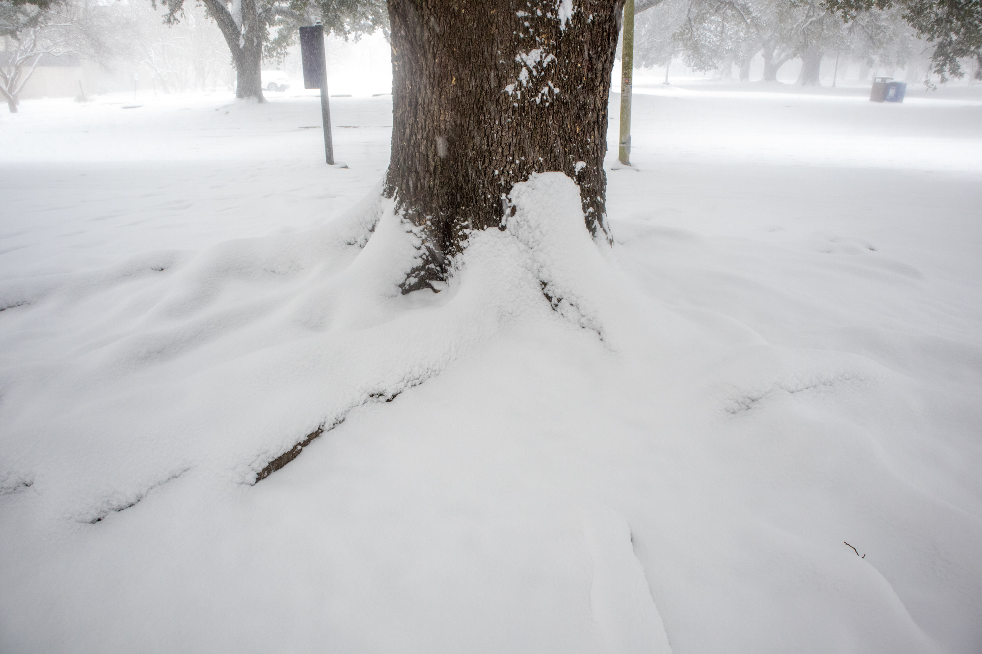 PHOTOS: LSU students enjoy rare snow day