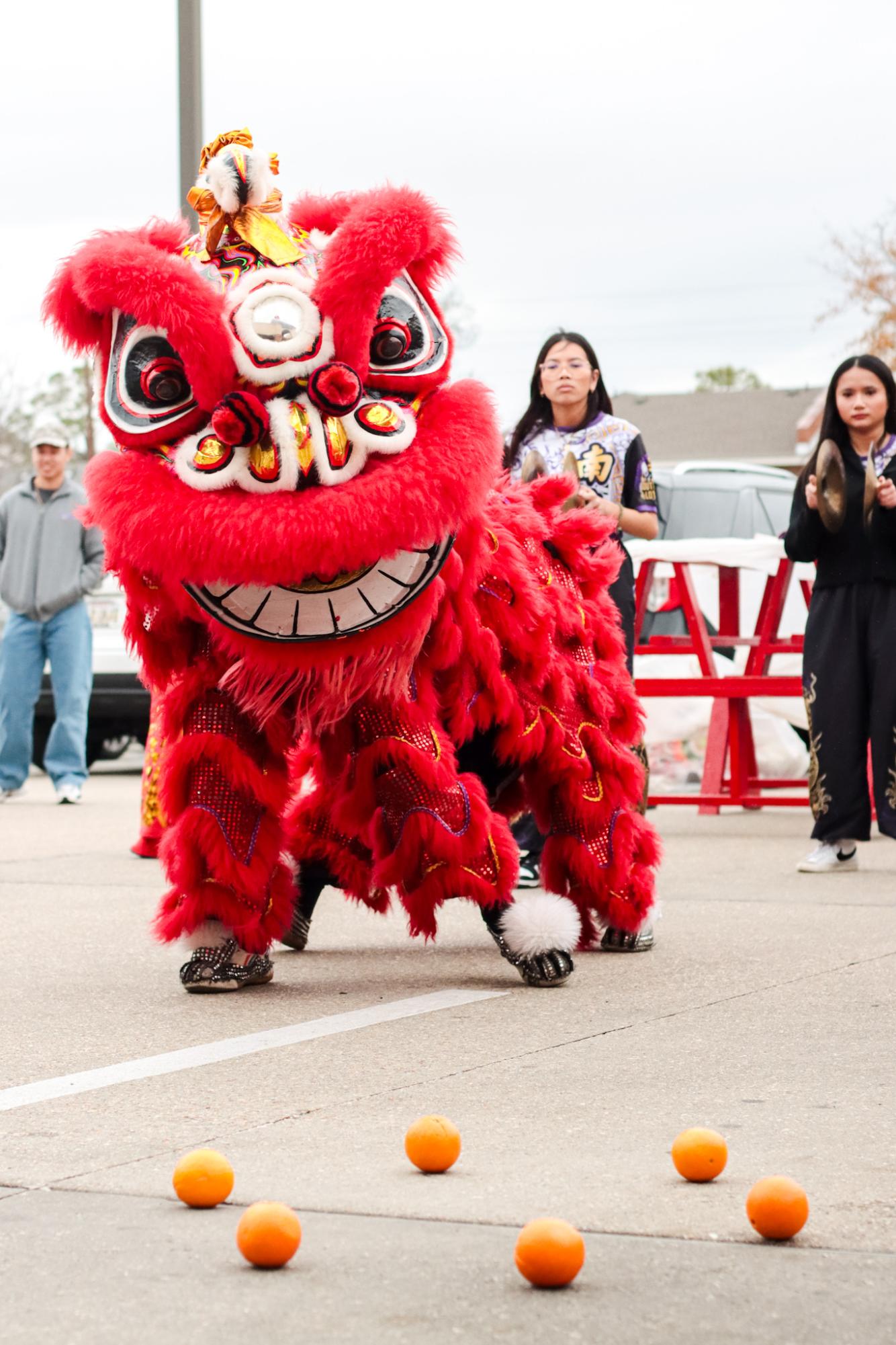 PHOTOS: The Southern Lotus Lion Dance Association performs for Lunar New Year