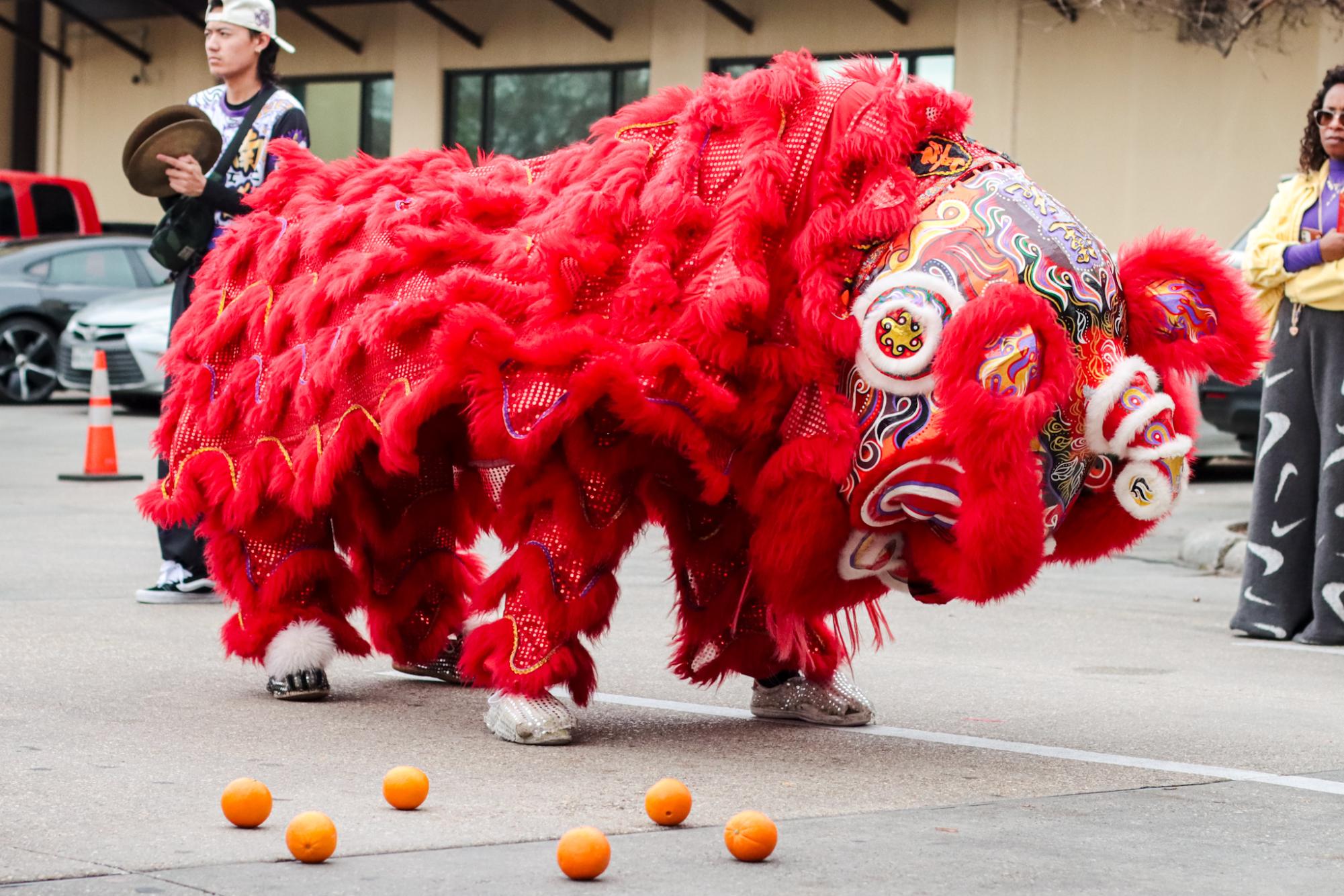 PHOTOS: The Southern Lotus Lion Dance Association performs for Lunar New Year