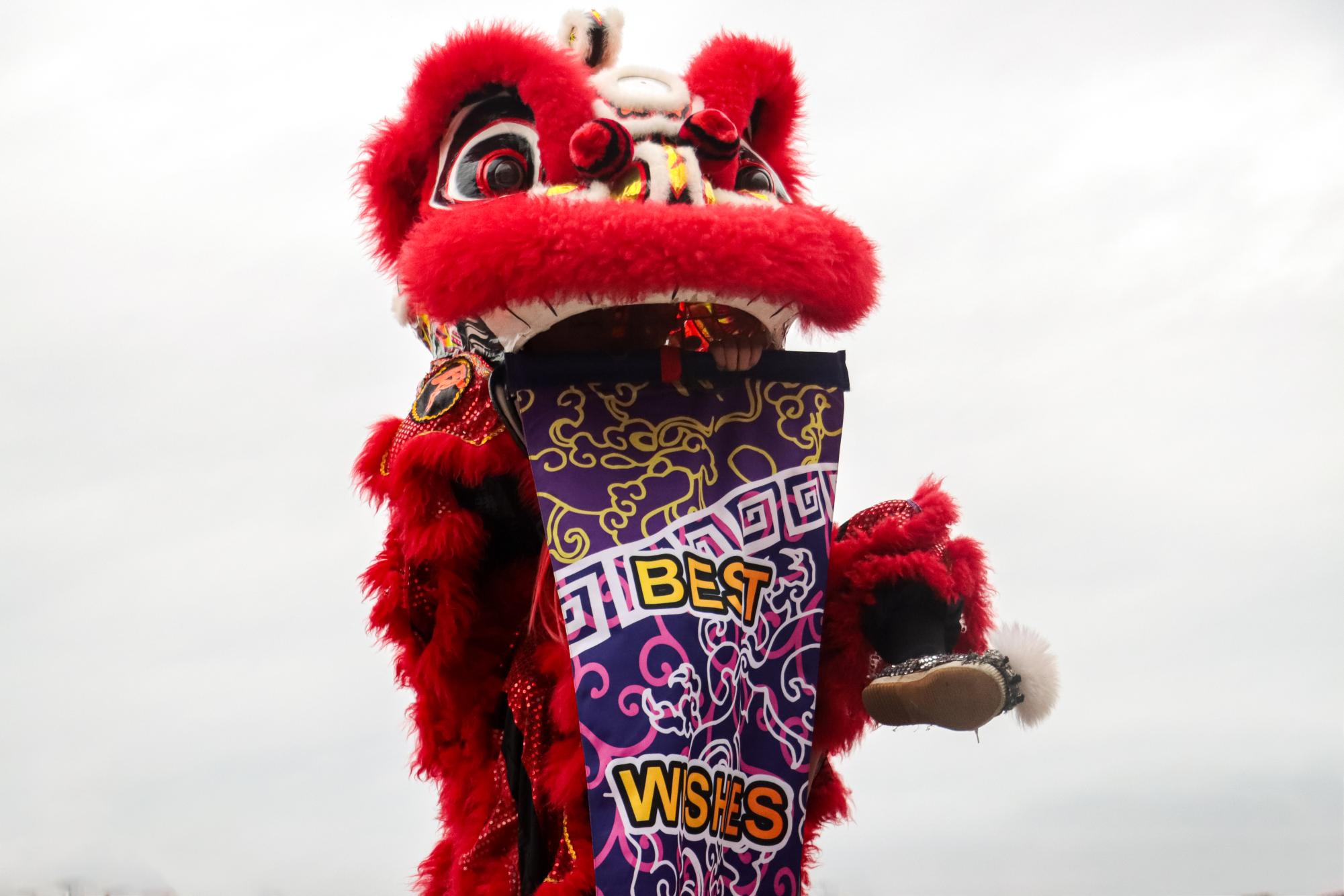 PHOTOS: The Southern Lotus Lion Dance Association performs for Lunar New Year