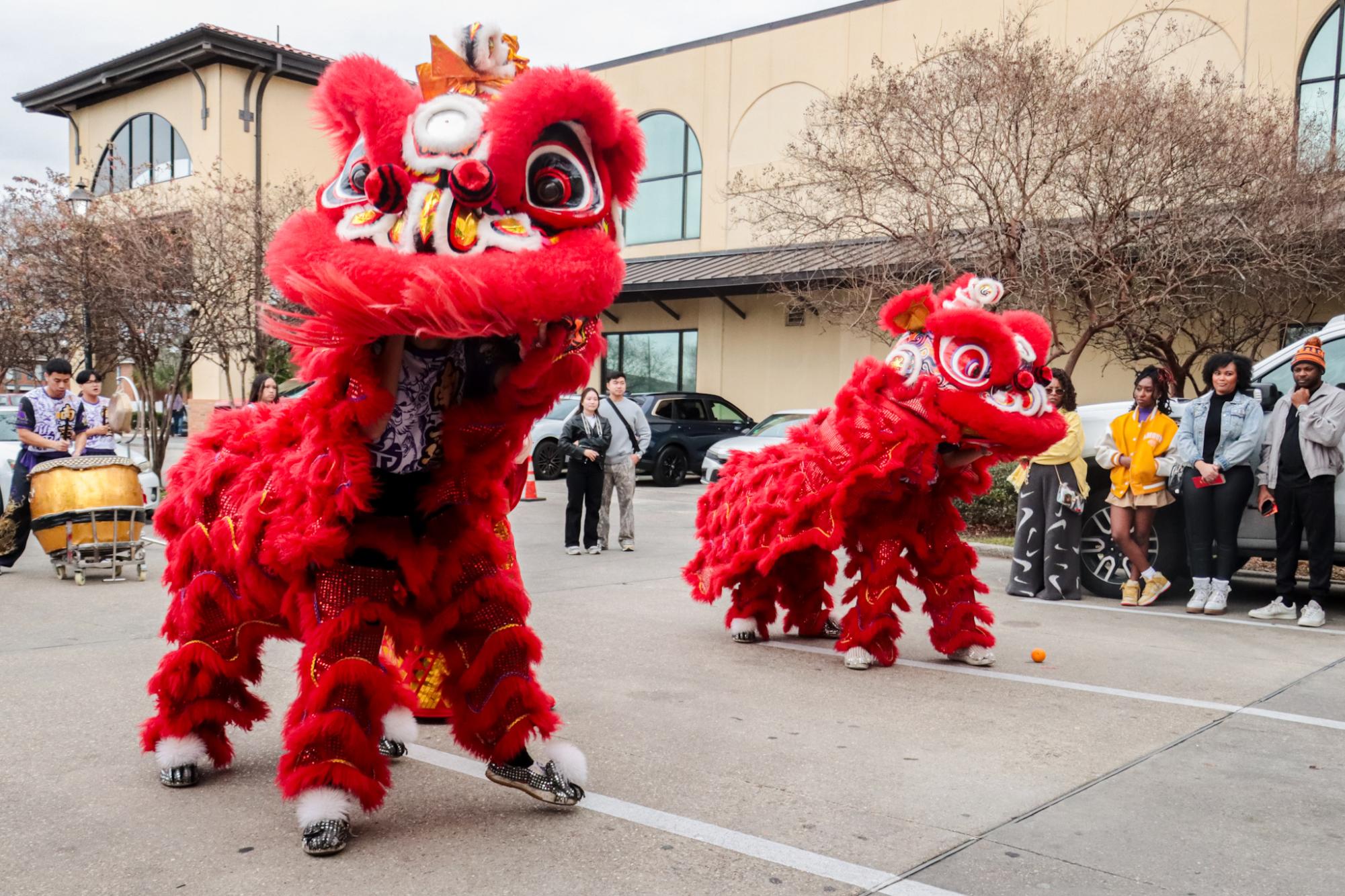 PHOTOS: The Southern Lotus Lion Dance Association performs for Lunar New Year