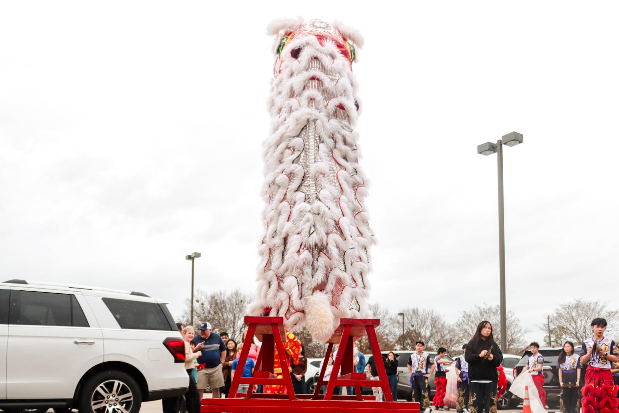 PHOTOS: The Southern Lotus Lion Dance Association performs for Lunar New Year