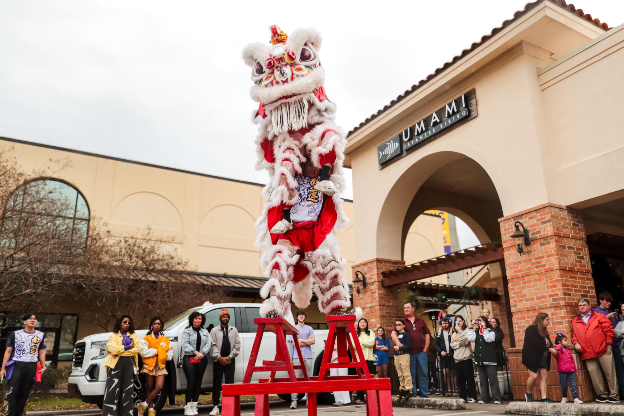 PHOTOS: The Southern Lotus Lion Dance Association performs for Lunar New Year