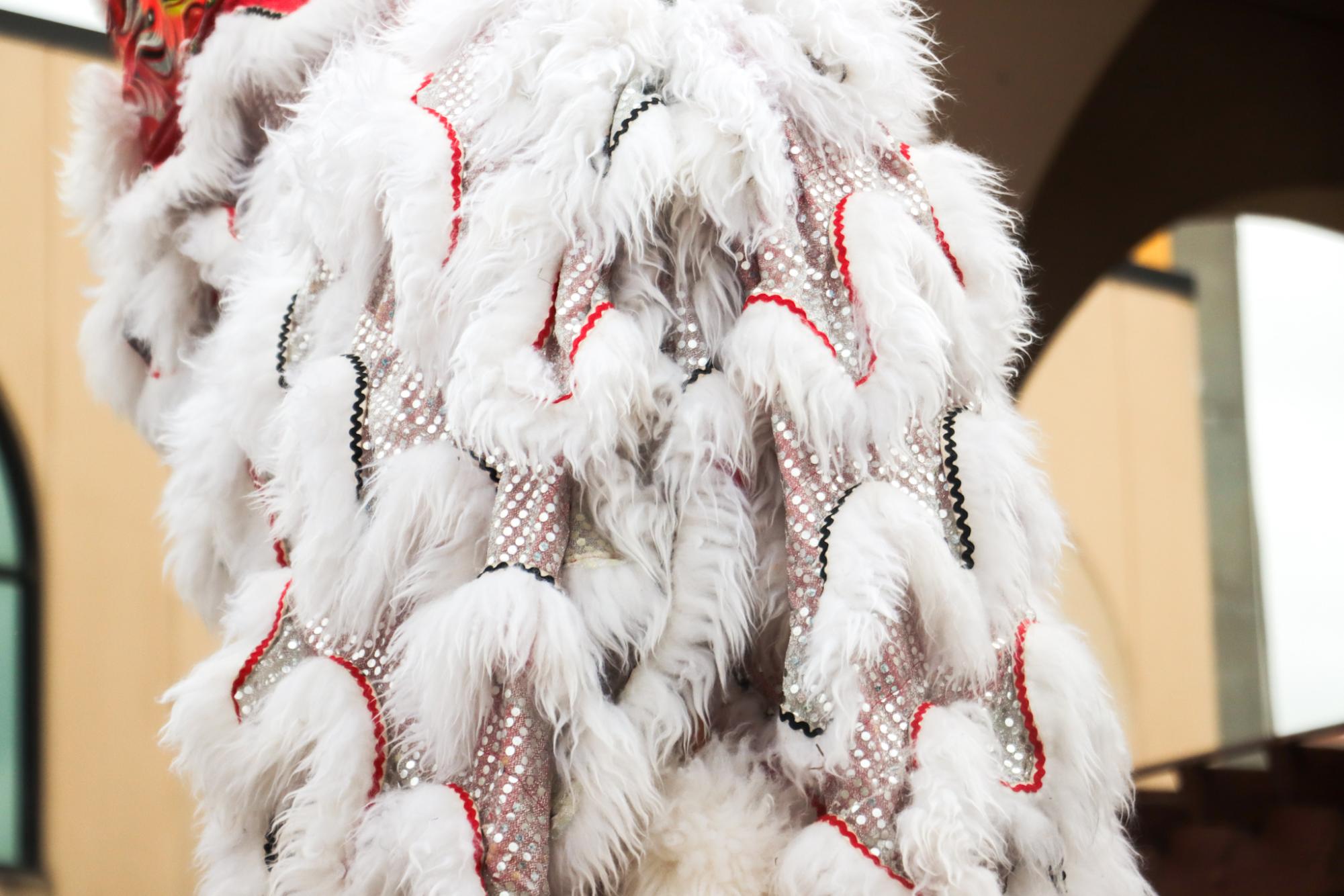 PHOTOS: The Southern Lotus Lion Dance Association performs for Lunar New Year