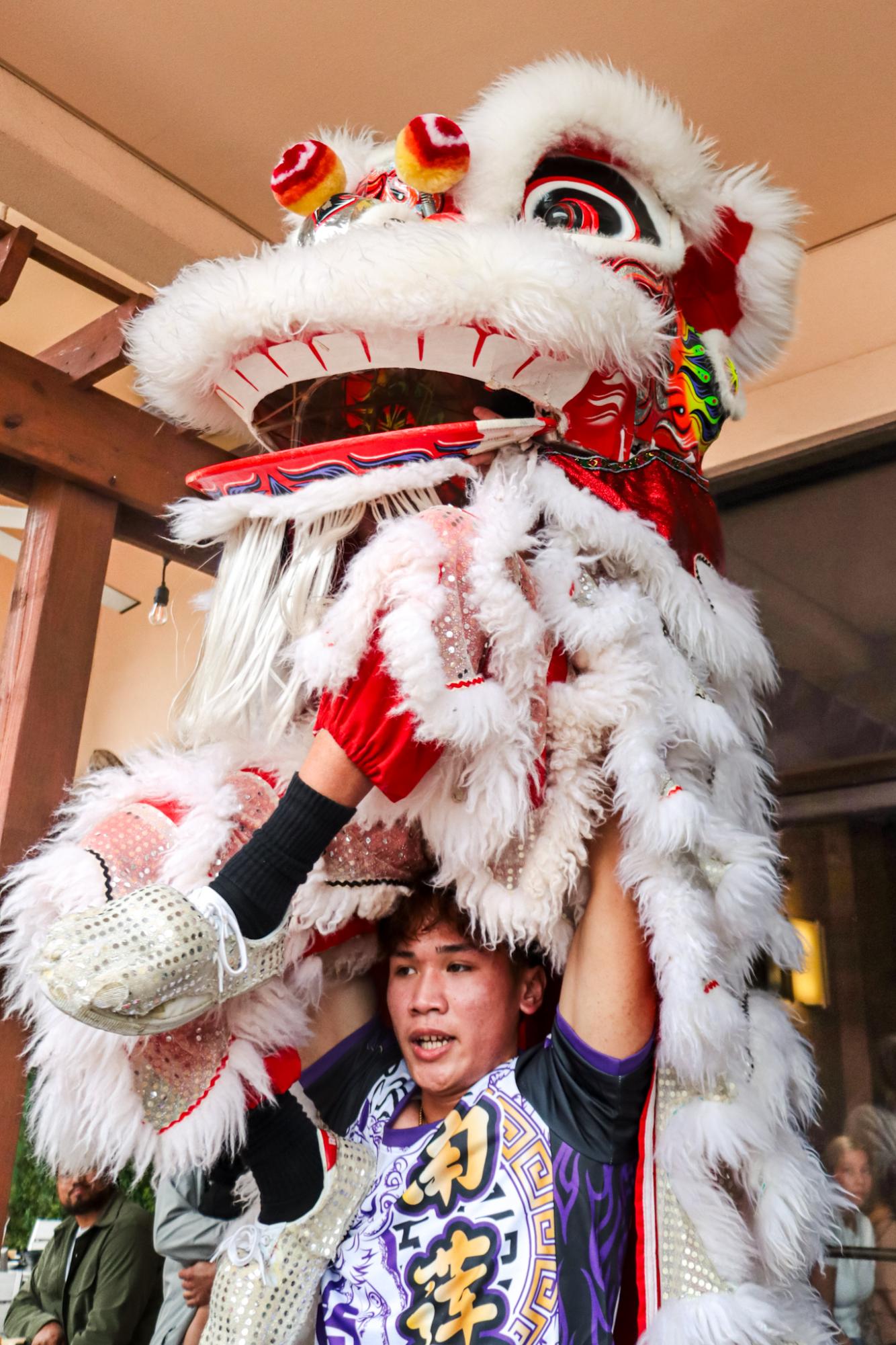 PHOTOS: The Southern Lotus Lion Dance Association performs for Lunar New Year