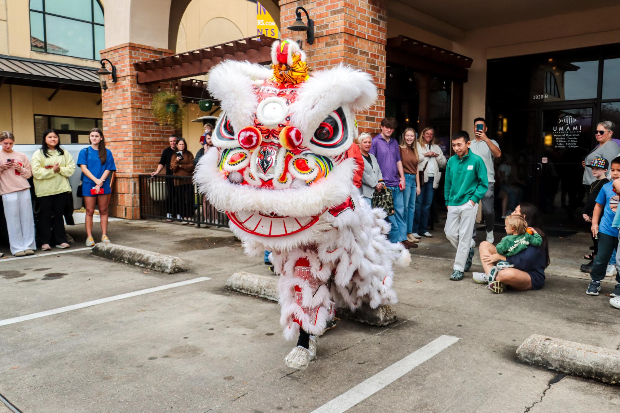 PHOTOS: The Southern Lotus Lion Dance Association performs for Lunar New Year