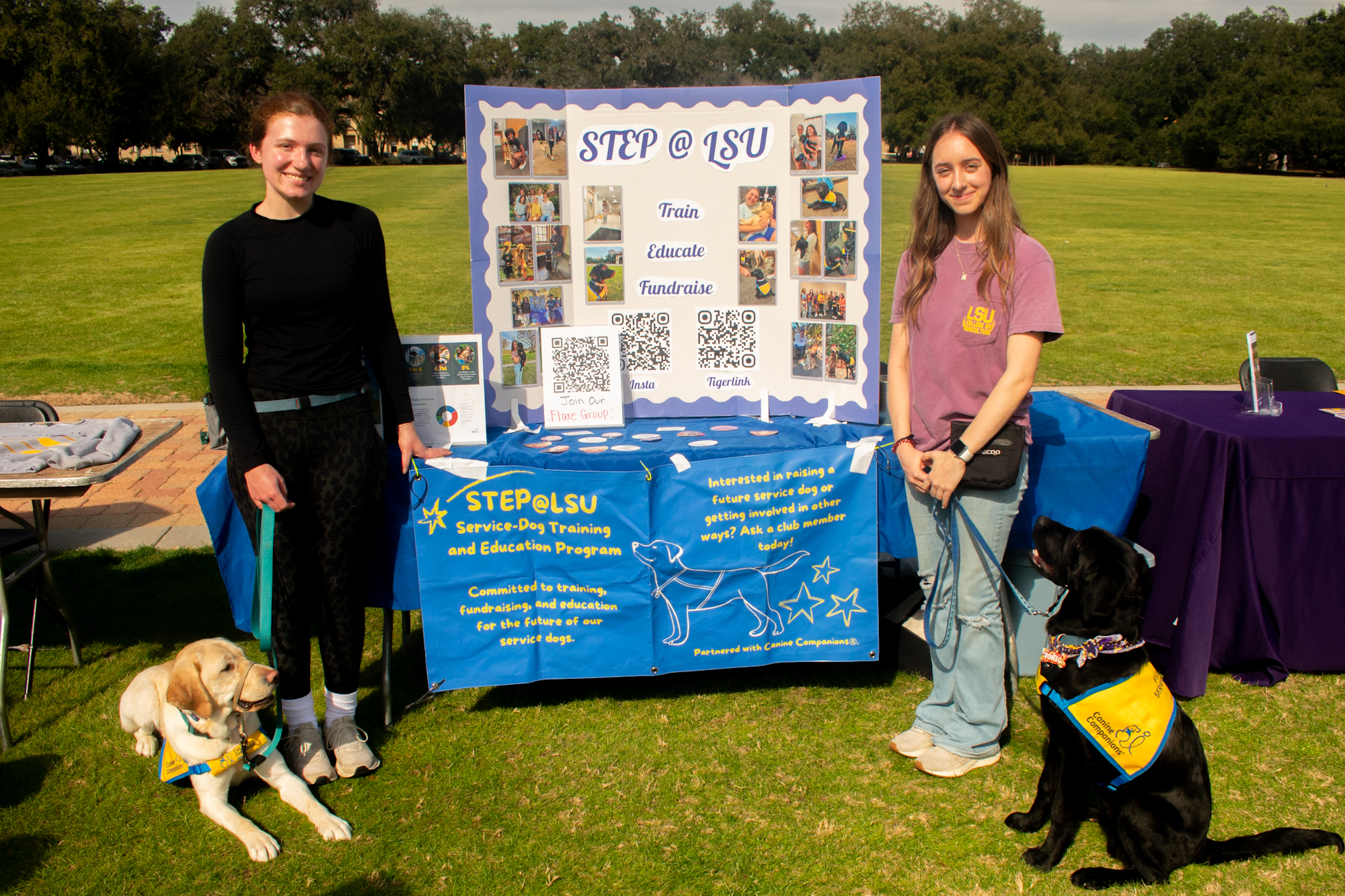 PHOTOS: LSU Involvement Fest: TigerRacing, Ballroom Dance Club and more!