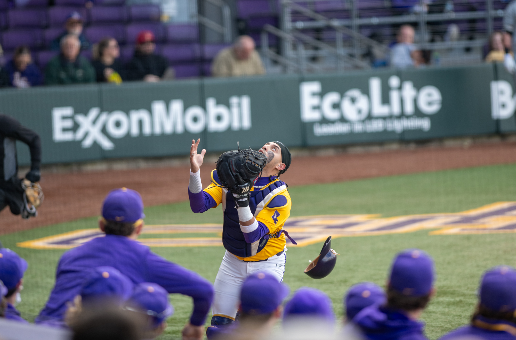 PHOTOS: LSU baseball sweeps Purdue Fort Wayne in opening weekend