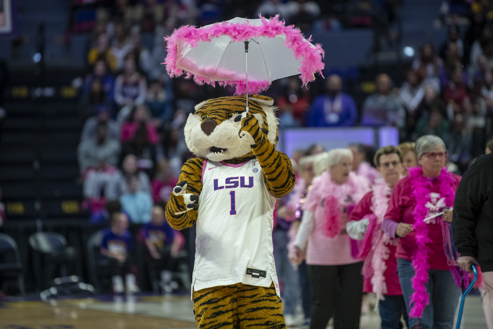 PHOTOS: LSU women's basketball defeats Georgia