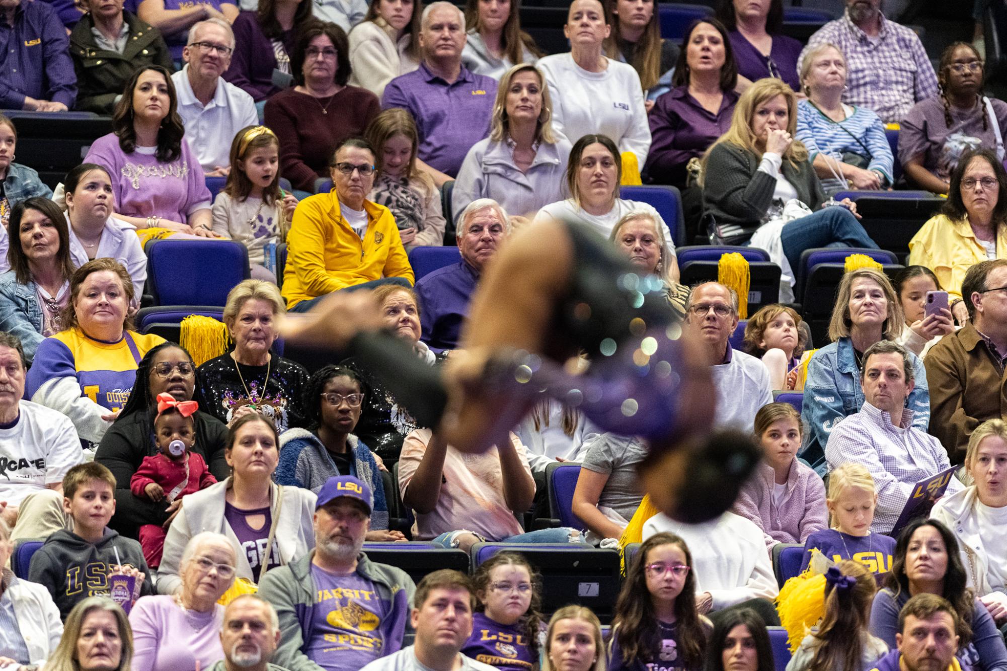 PHOTOS: LSU gymnastics scores season high against Missouri