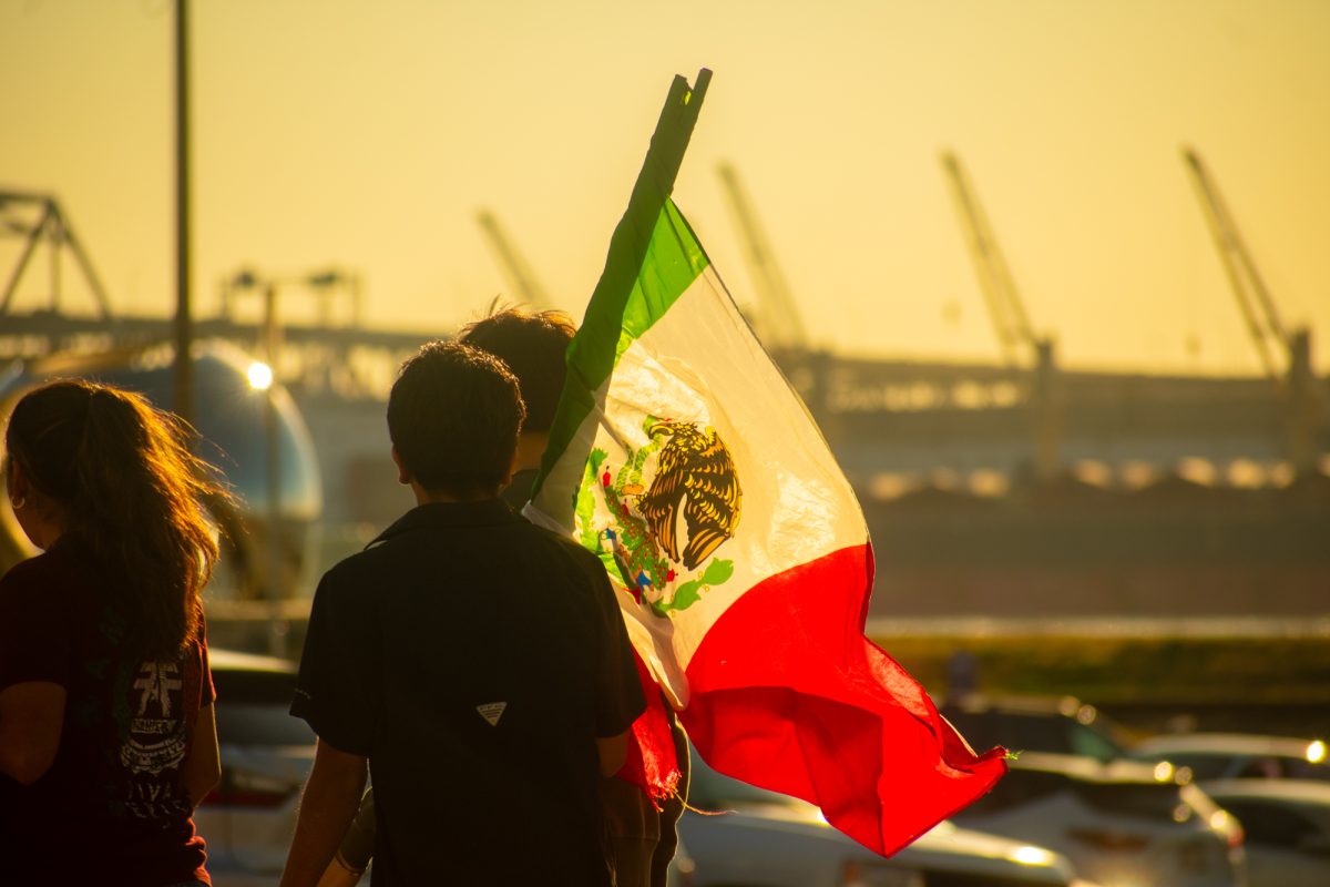 Protesters hoist flags during protest against mass deportation Sunday, Feb. 2, 2025, at Convention Street and River Road in downtown Baton Rouge, La.