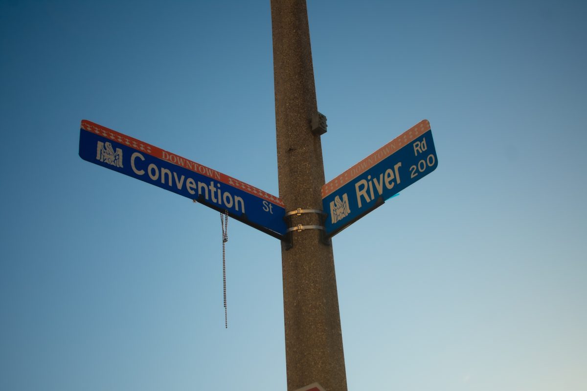 Street signs mark the intersection where protesters rally against mass deportation Sunday, Feb. 2, 2025, at Convention Street and River Road in downtown Baton Rouge, La.