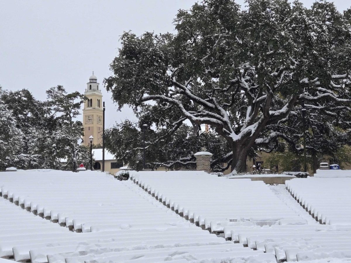 View of LSU Clock Tower and Greek theater from Enchanted Forest covered in snow on Tuesday, Jan. 21, 2025.