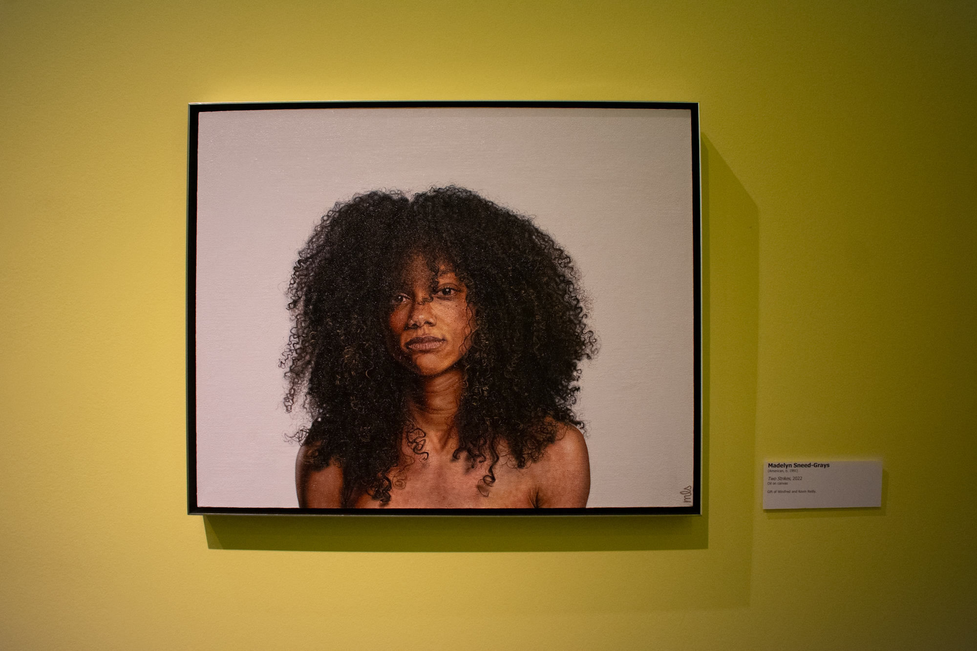 PHOTOS: Black History Month celebration at LSU Museum of Art