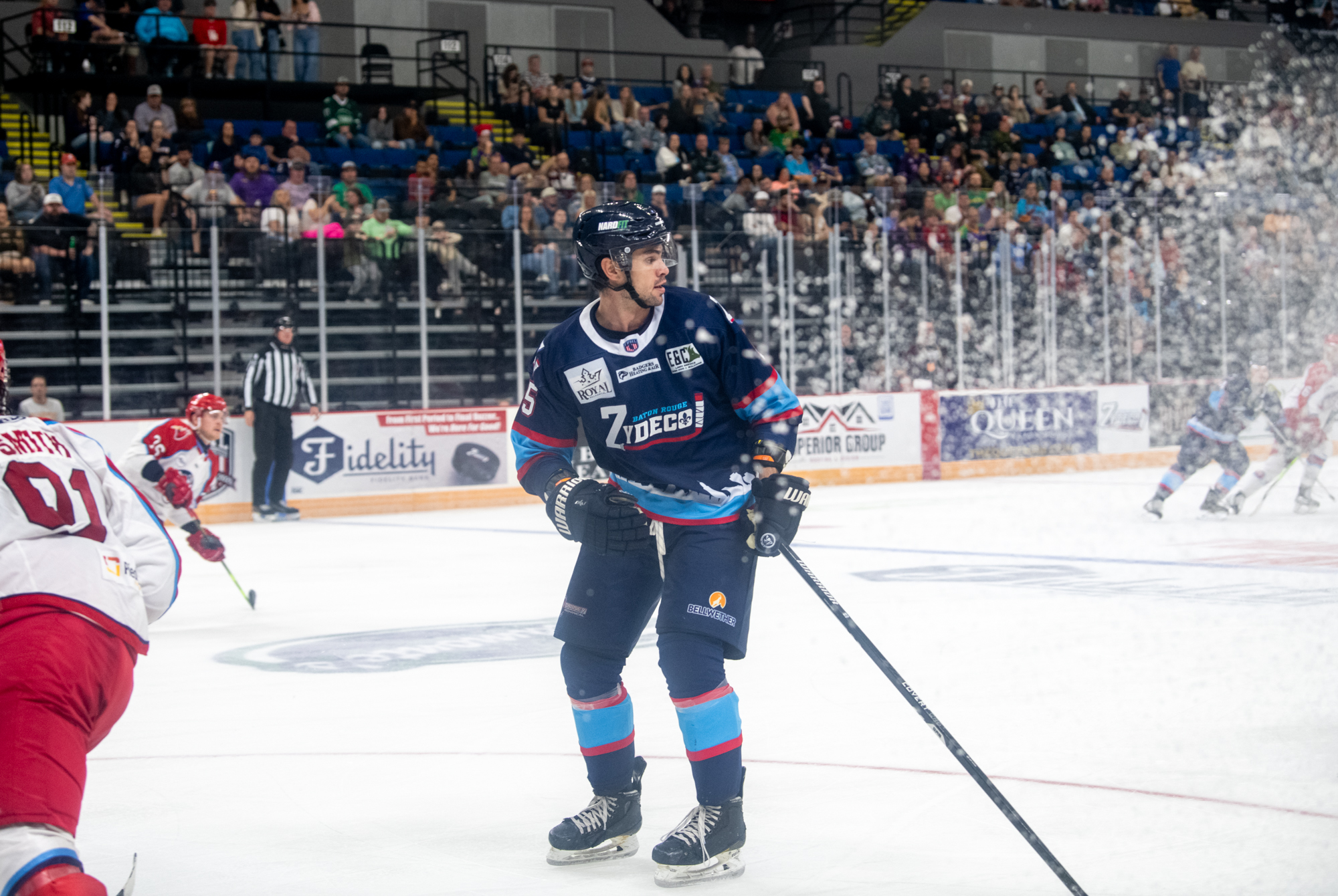 PHOTOS: Baton Rouge Zydeco hockey plays at the River Center