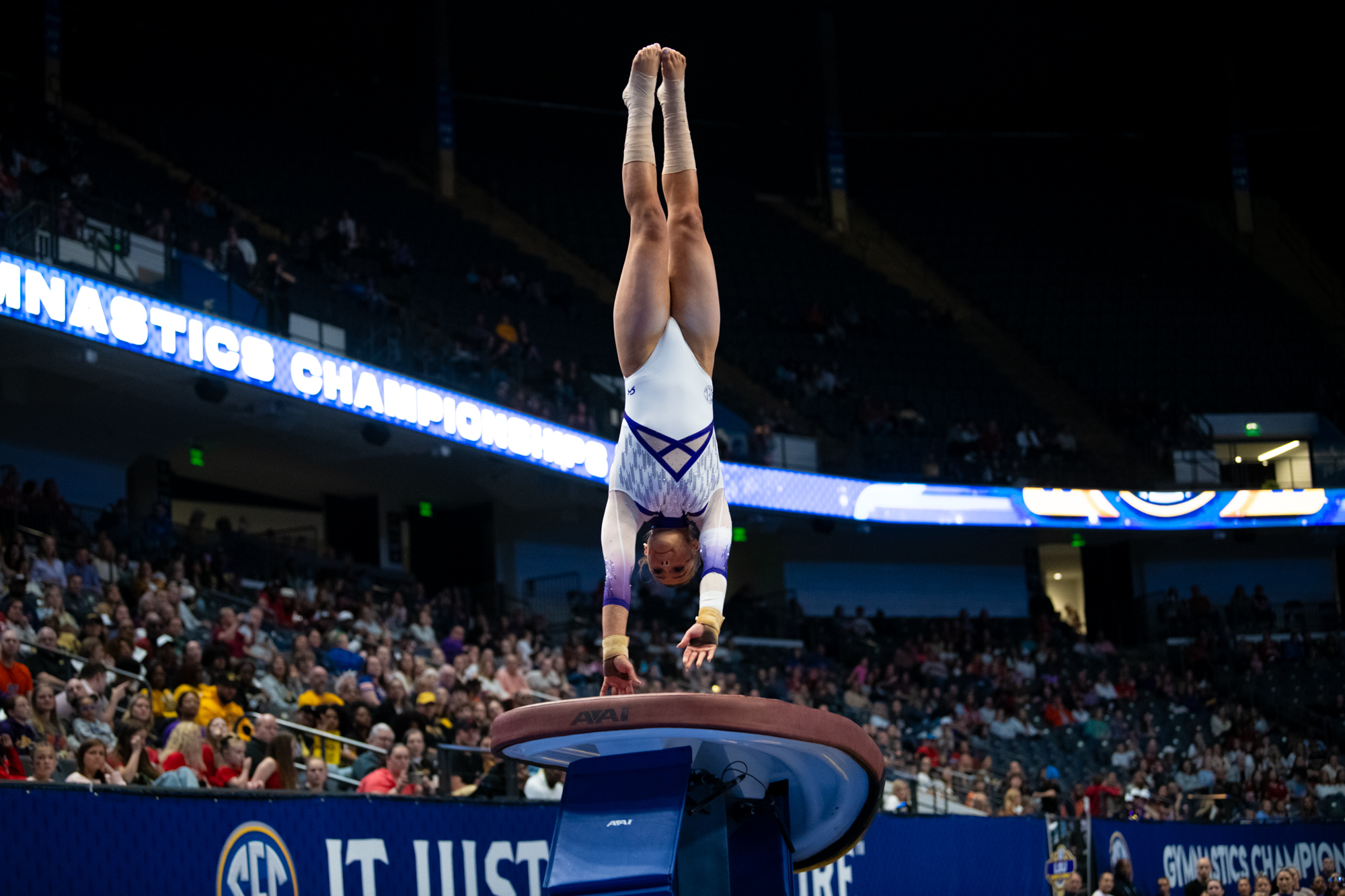 PHOTOS: LSU gymnastics wins SEC Championship