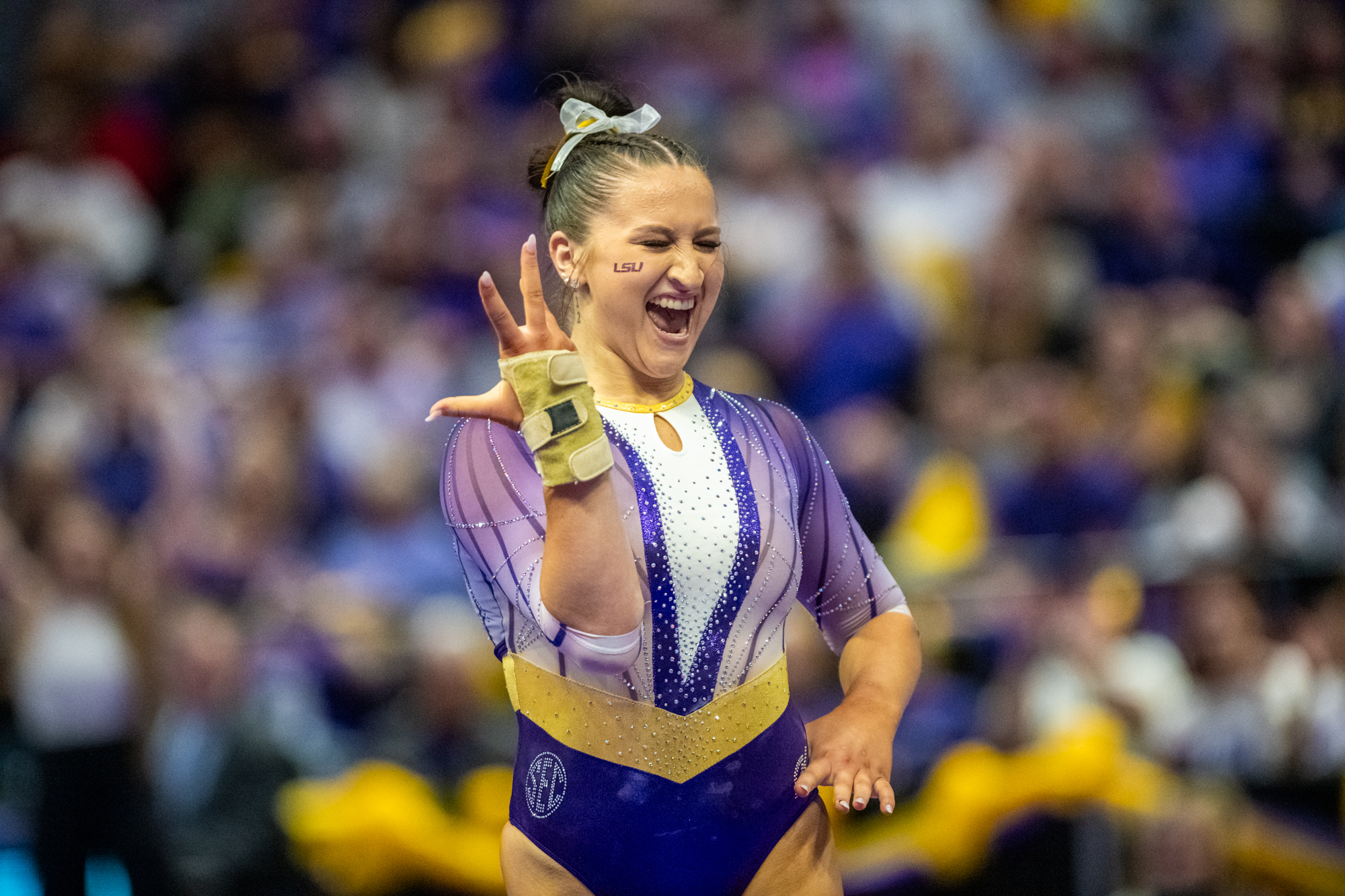 PHOTOS: LSU gymnastics record-setting final home meet