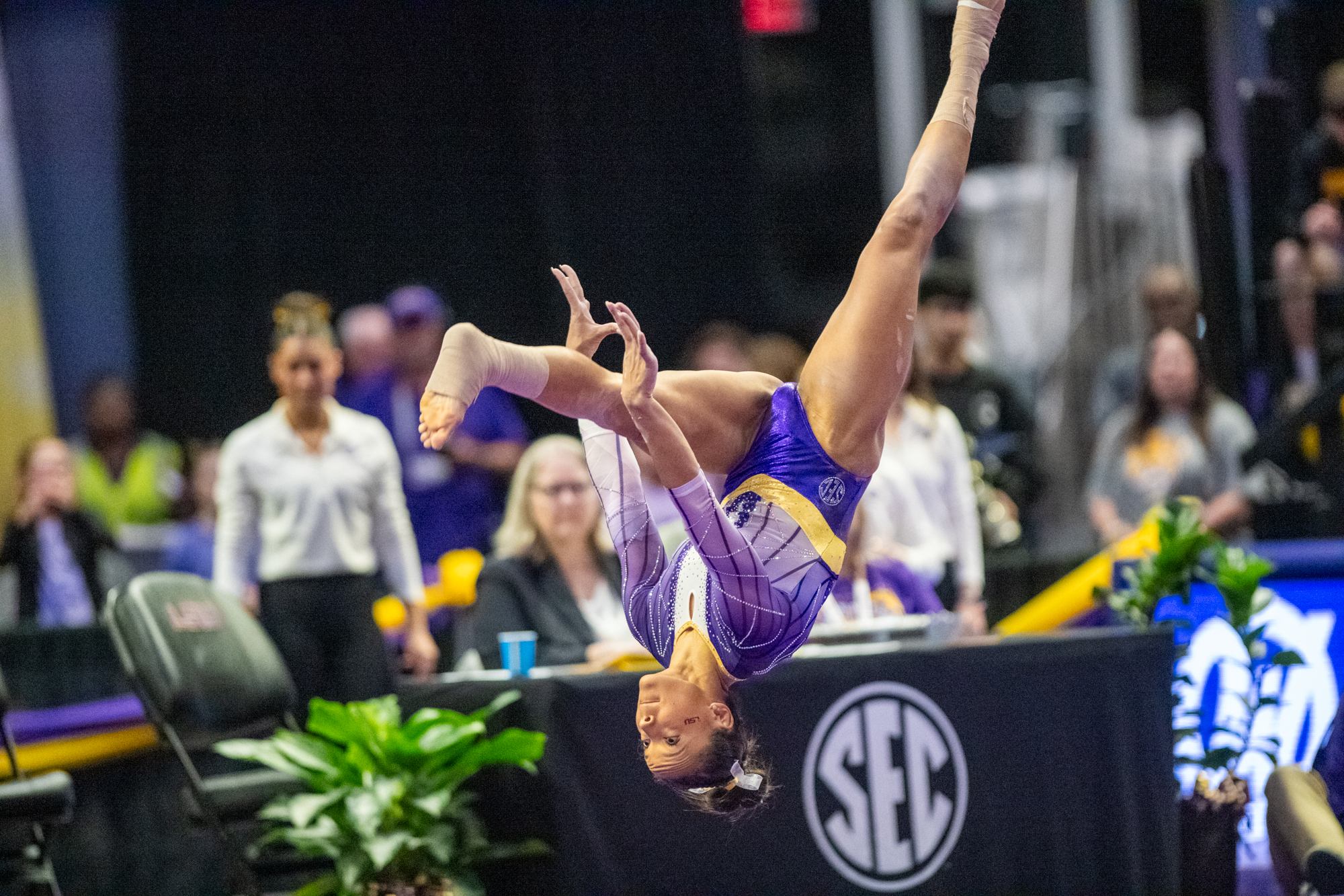 PHOTOS: LSU gymnastics record-setting final home meet