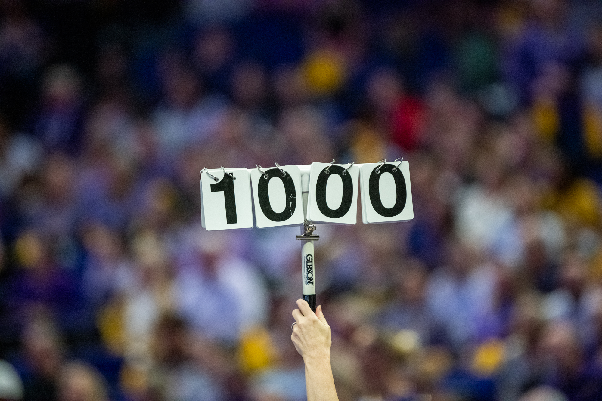 PHOTOS: LSU gymnastics record-setting final home meet