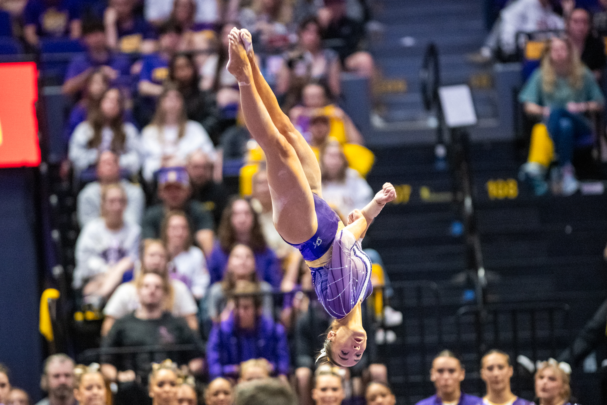 PHOTOS: LSU gymnastics record-setting final home meet