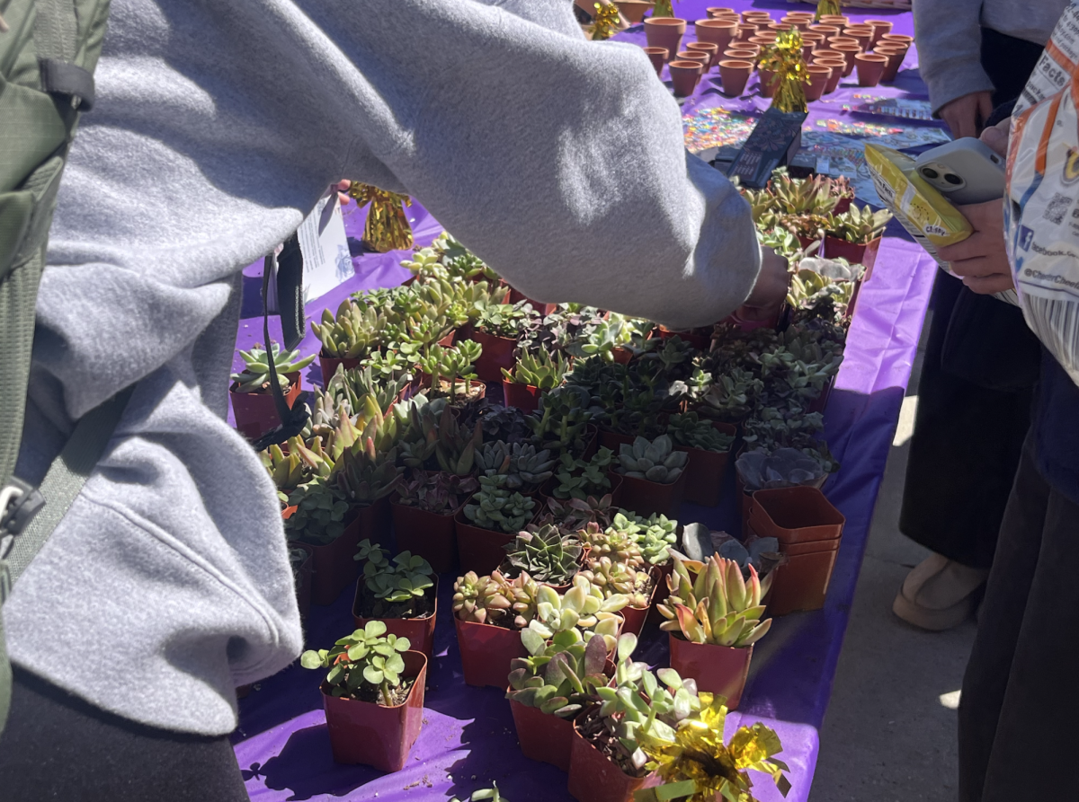 Students grab plants at the Planting Positivity event, hosted by the Student Health Center, on March 21 in Baton Rouge, La.