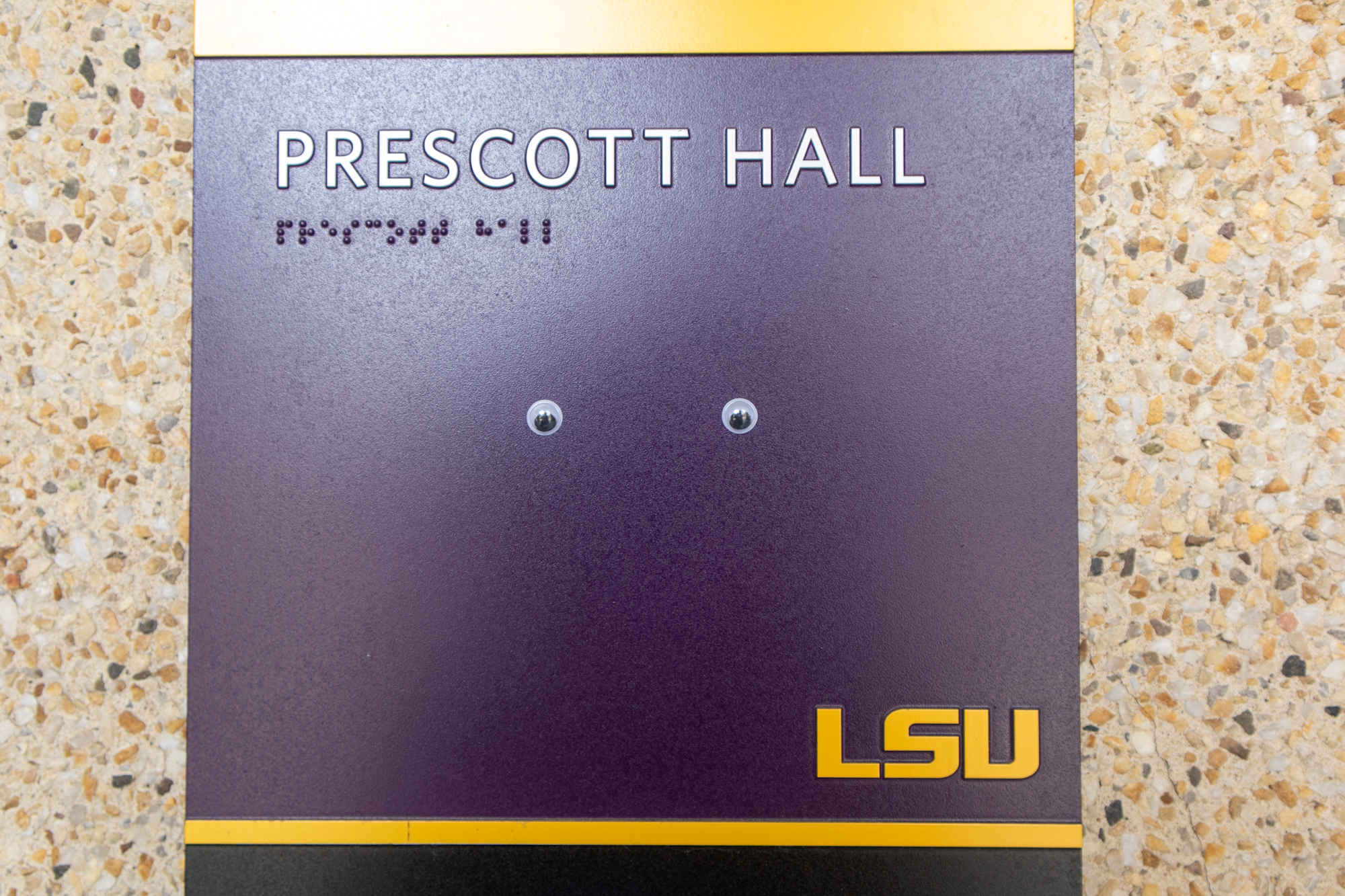 PHOTOS: Googly eyes around LSU's campus