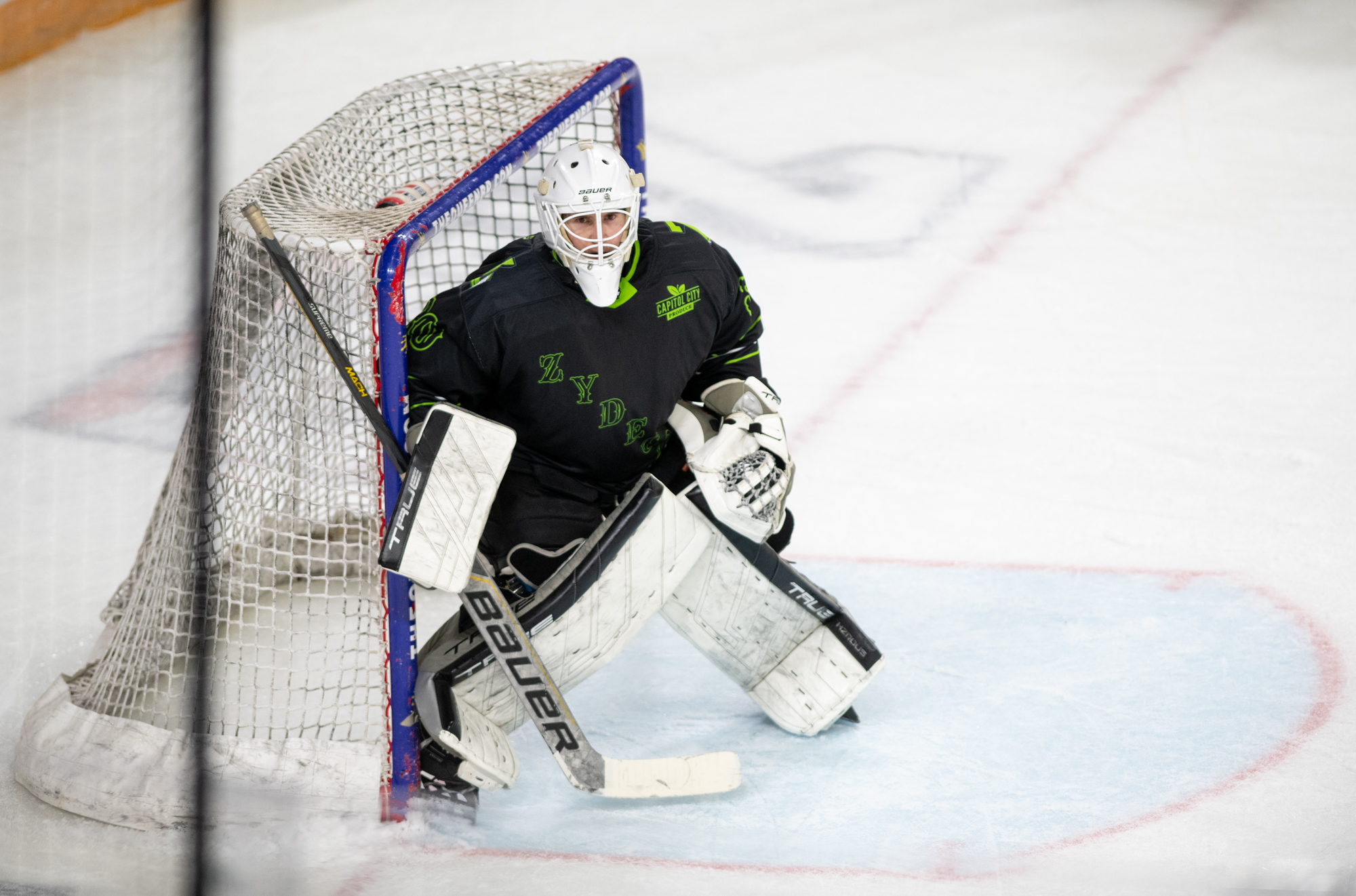 PHOTOS: Baton Rouge Zydeco hockey loses to Watertown