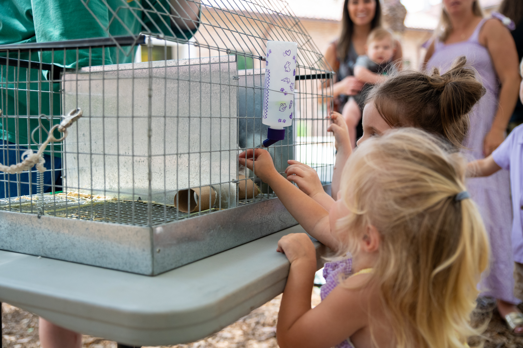 PHOTOS: Bunny petting zoo at LSU Dairy Store