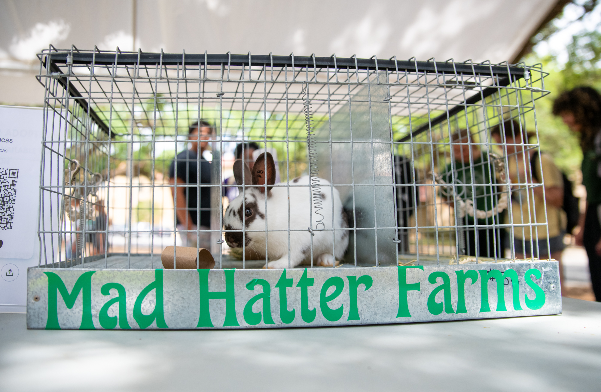 PHOTOS: Bunny petting zoo at LSU Dairy Store