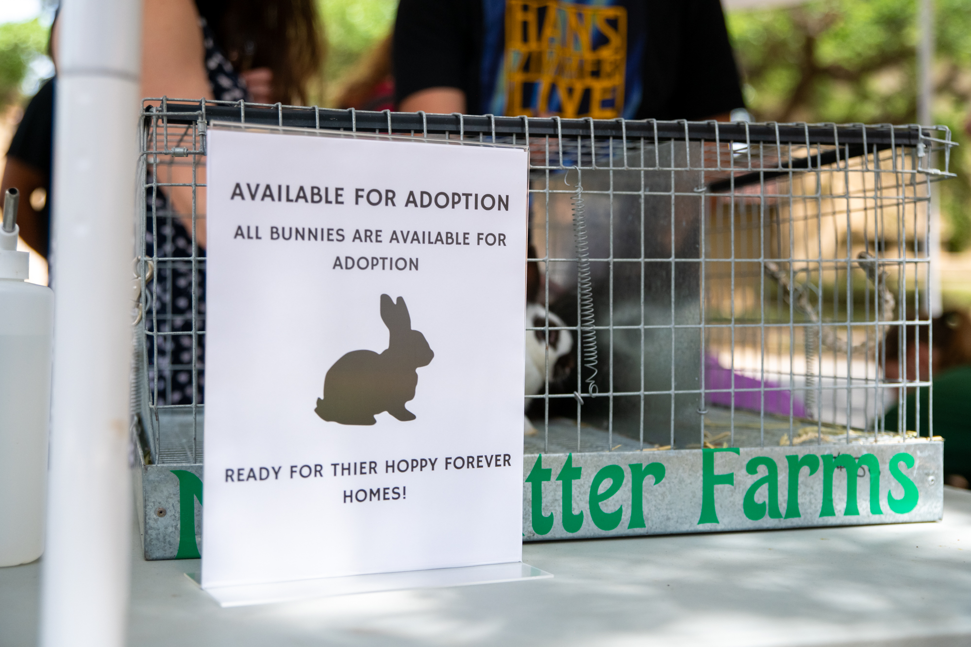 PHOTOS: Bunny petting zoo at LSU Dairy Store