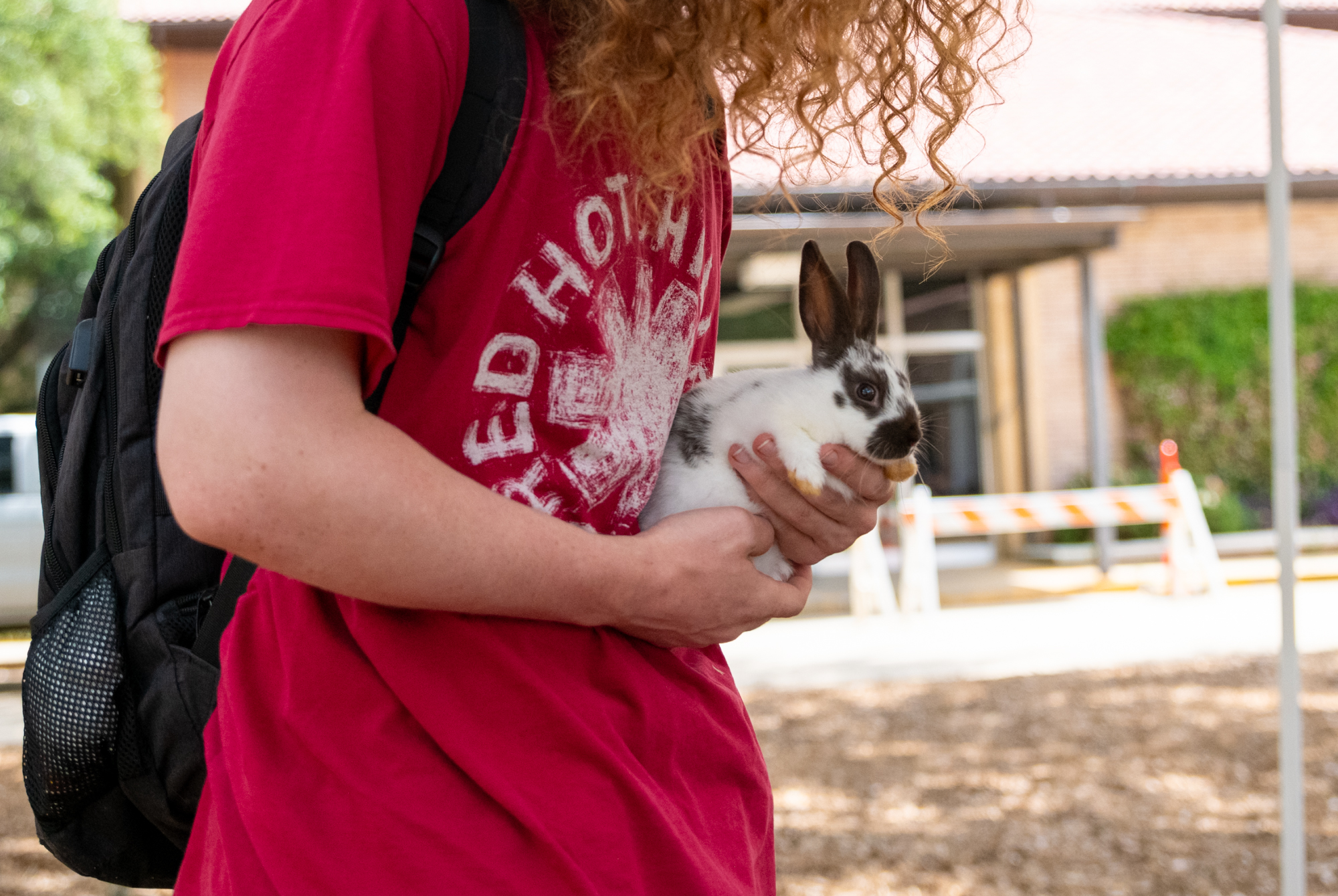 PHOTOS: Bunny petting zoo at LSU Dairy Store