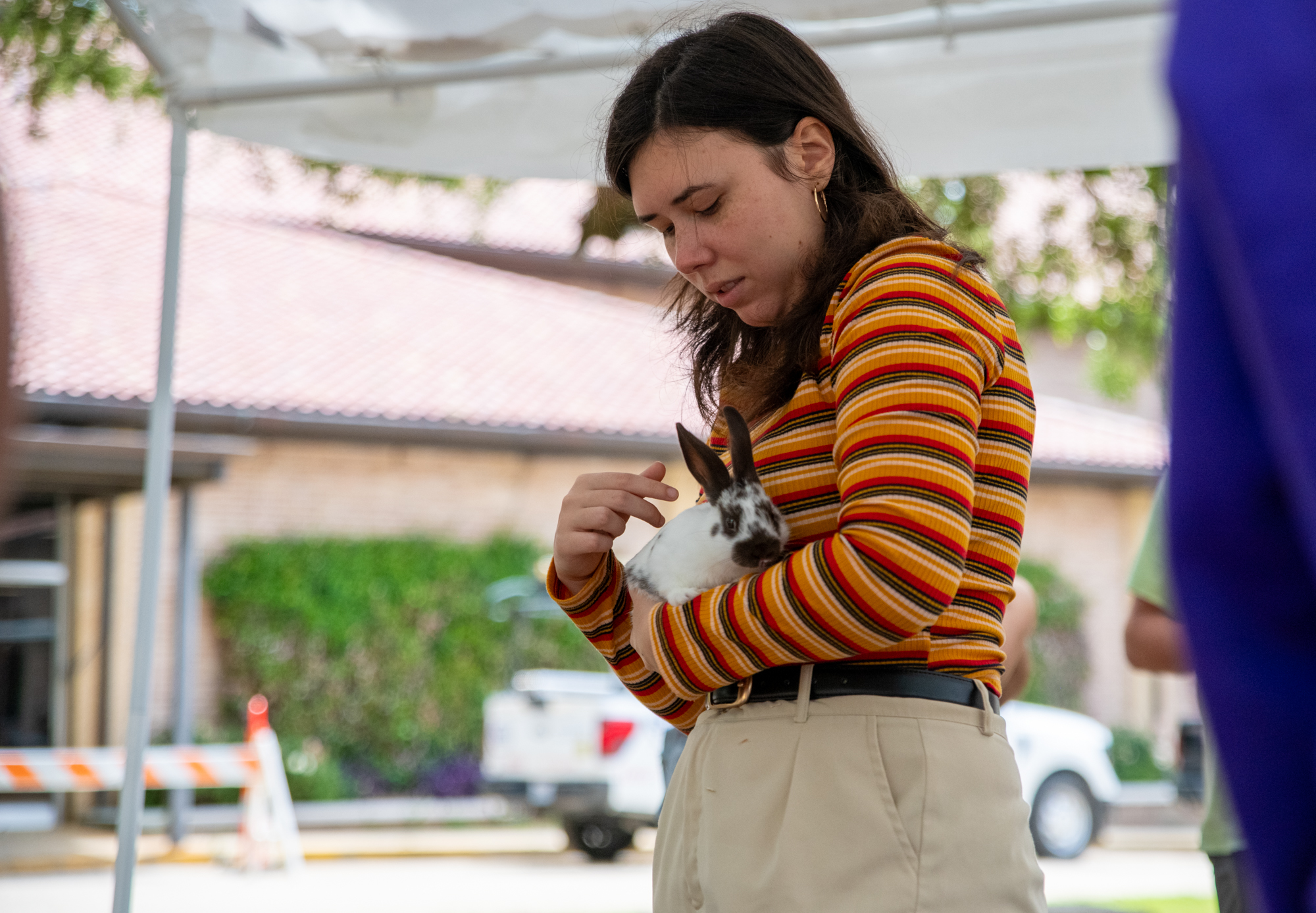PHOTOS: Bunny petting zoo at LSU Dairy Store