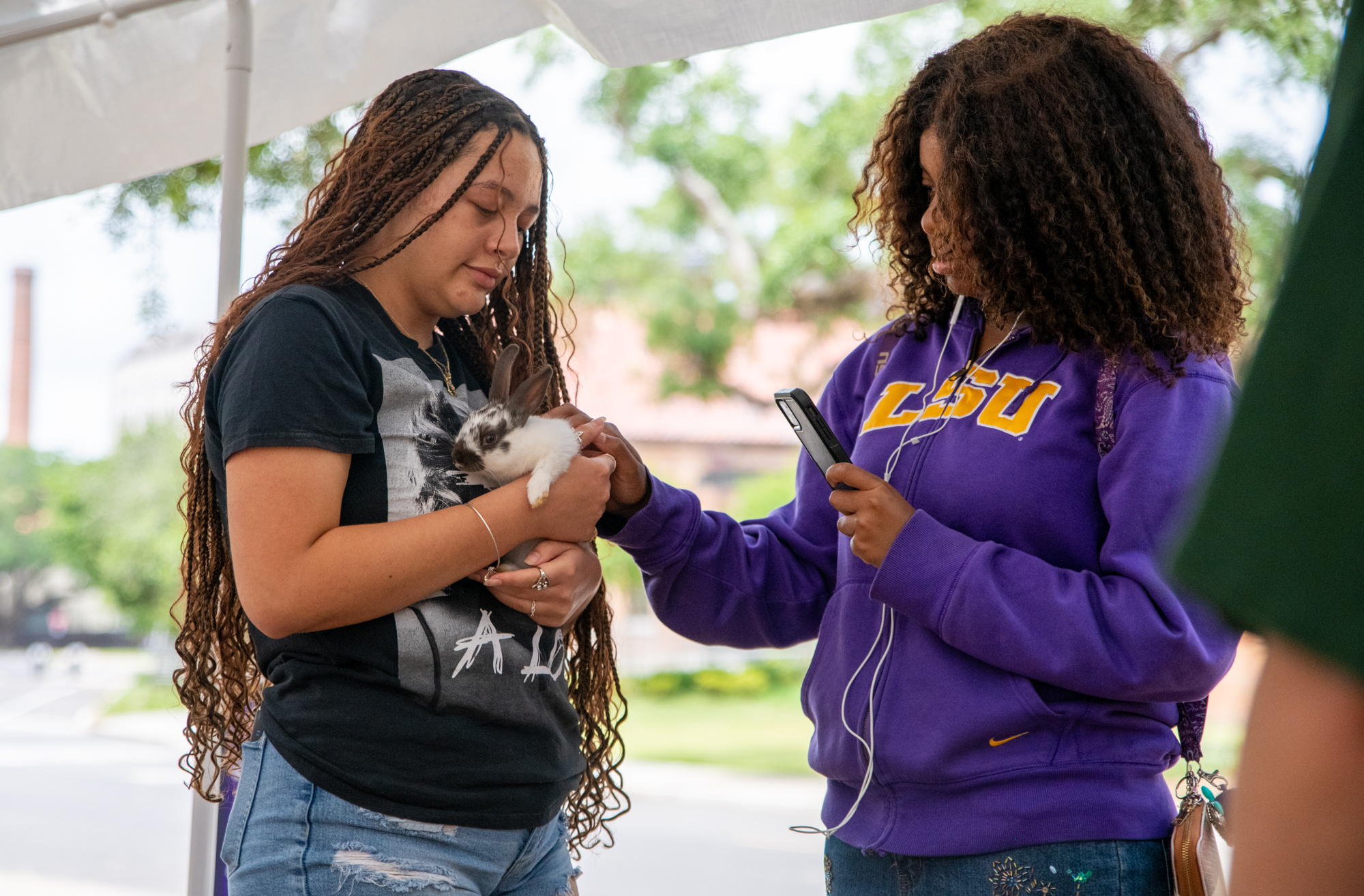 PHOTOS: Bunny petting zoo at LSU Dairy Store
