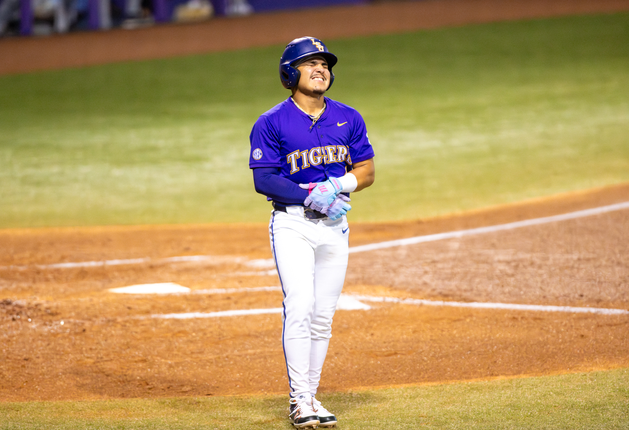PHOTOS: LSU baseball defeats Dallas Baptist in NCAA Regionals