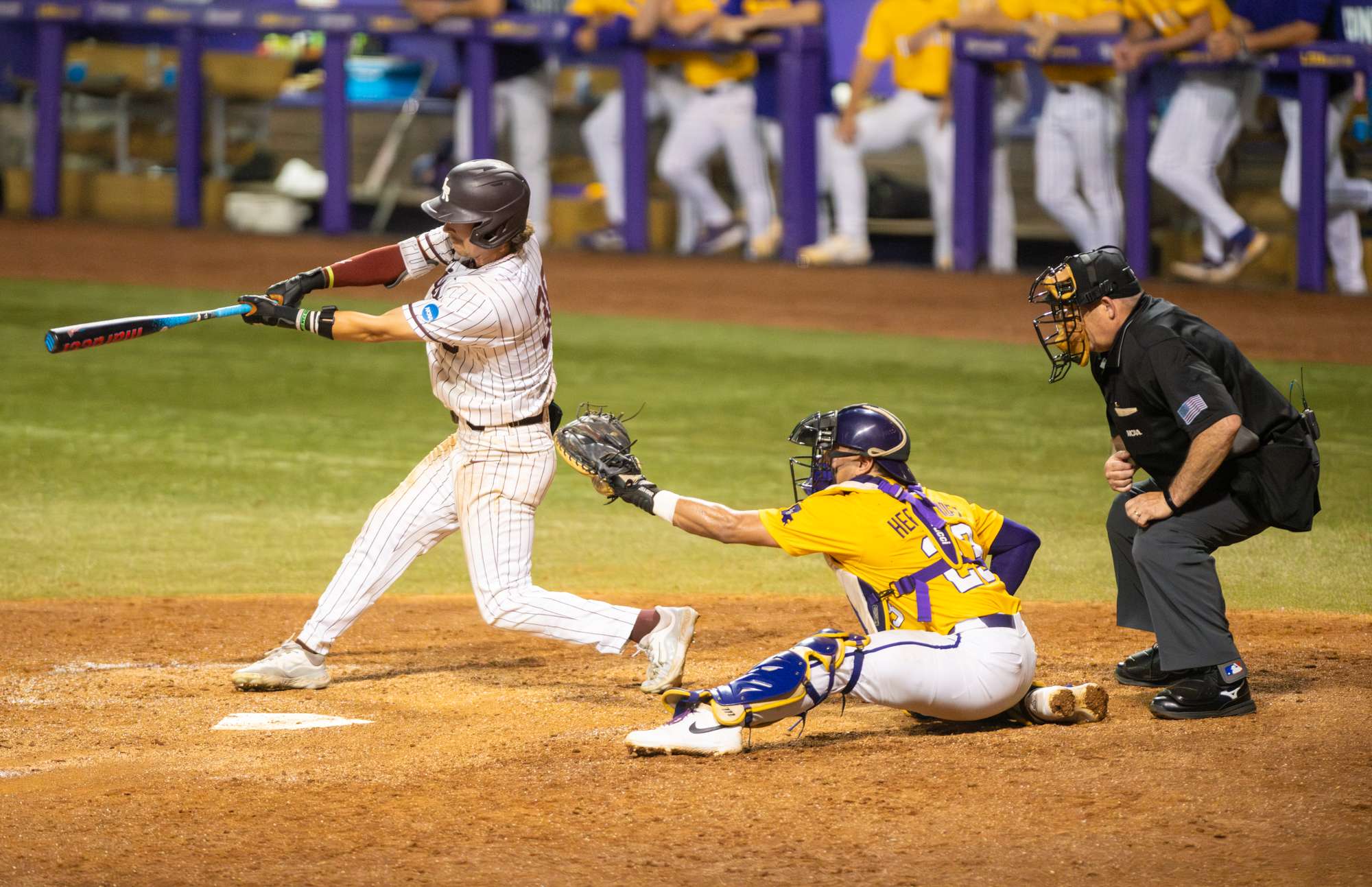 PHOTOS: LSU baseball falls to Little Rock in NCAA Regional Game 6