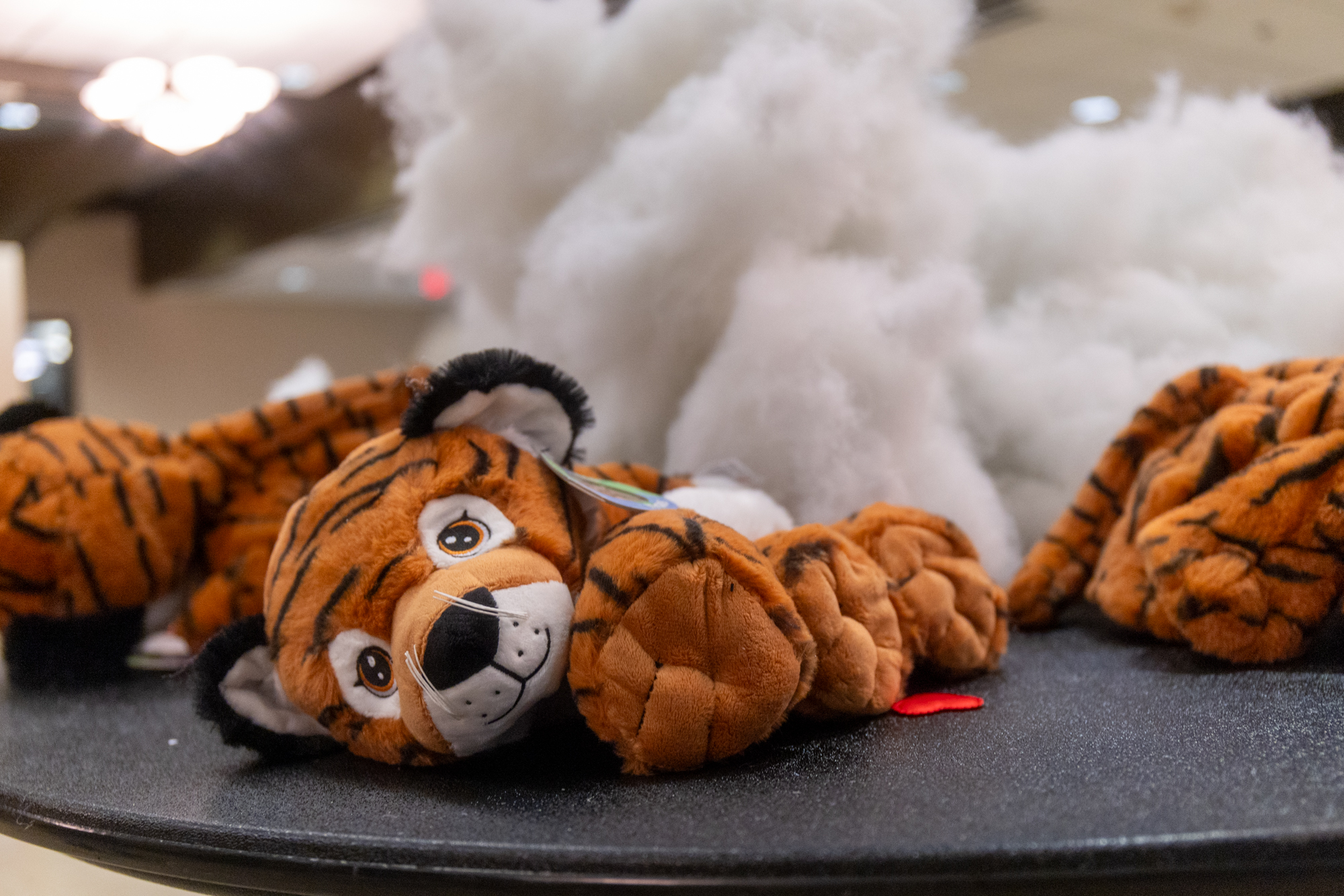 PHOTOS: LSU Welcome Week