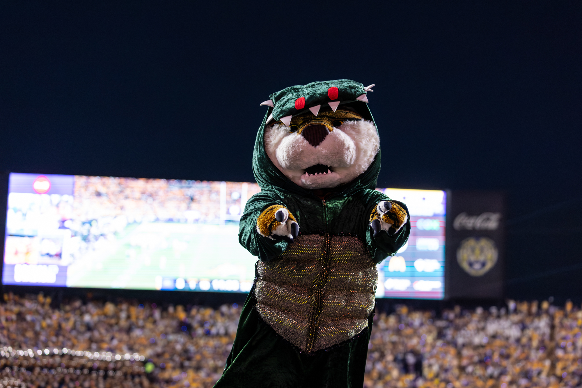 PHOTOS: LSU football defeats Florida