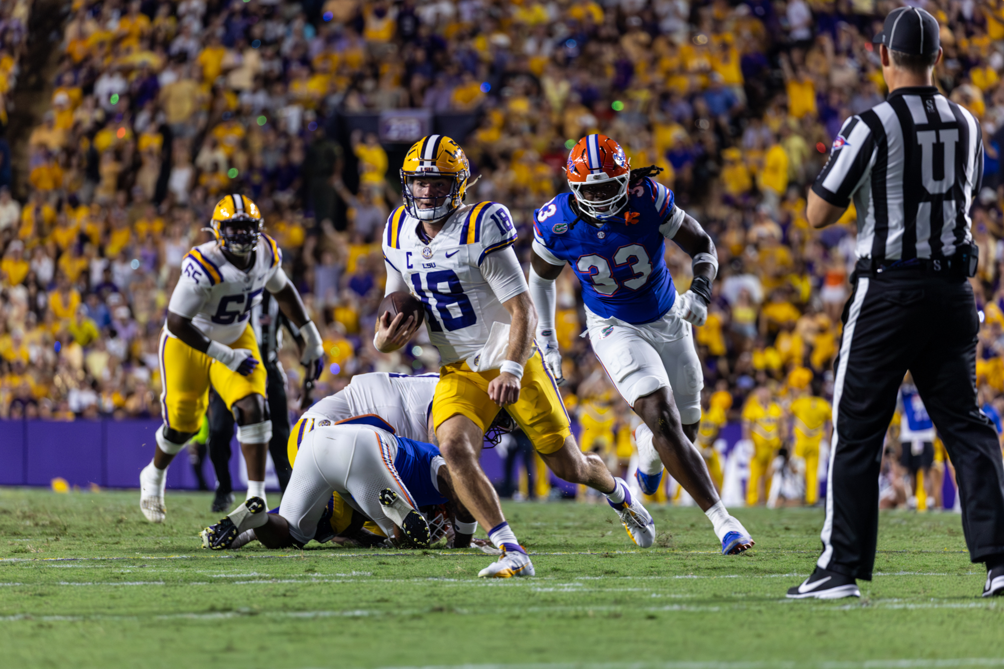 PHOTOS: LSU football defeats Florida