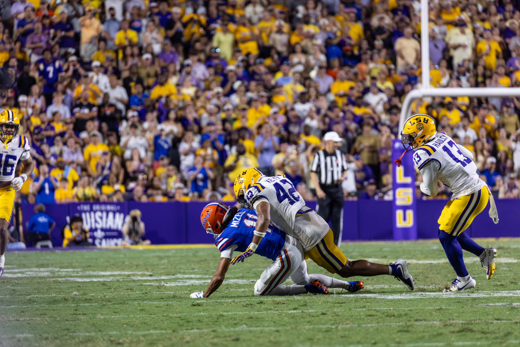PHOTOS: LSU football defeats Florida