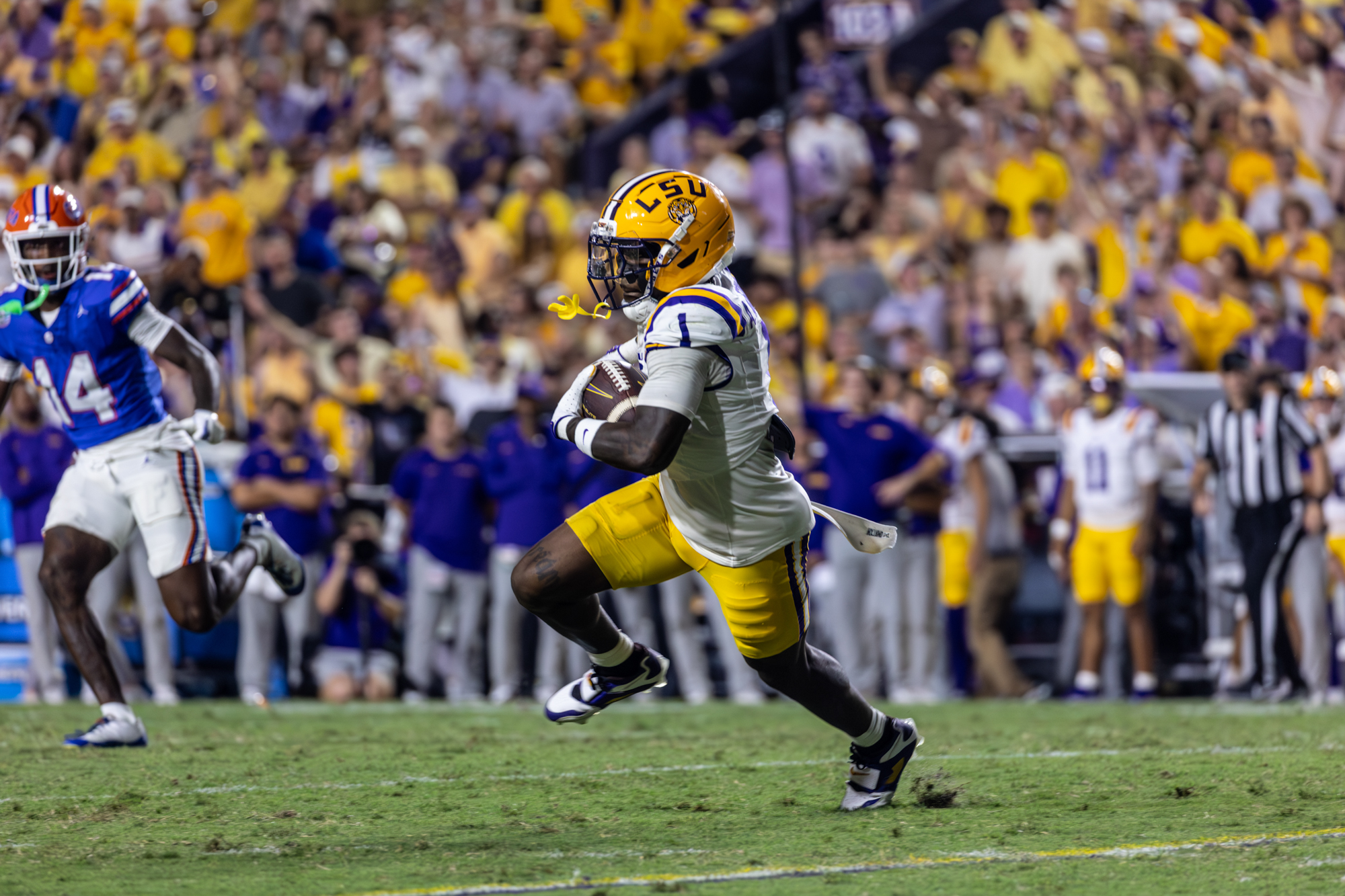 PHOTOS: LSU football defeats Florida