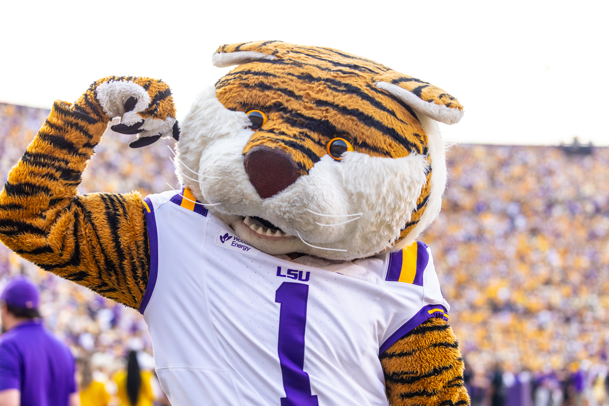 PHOTOS: LSU football defeats Florida