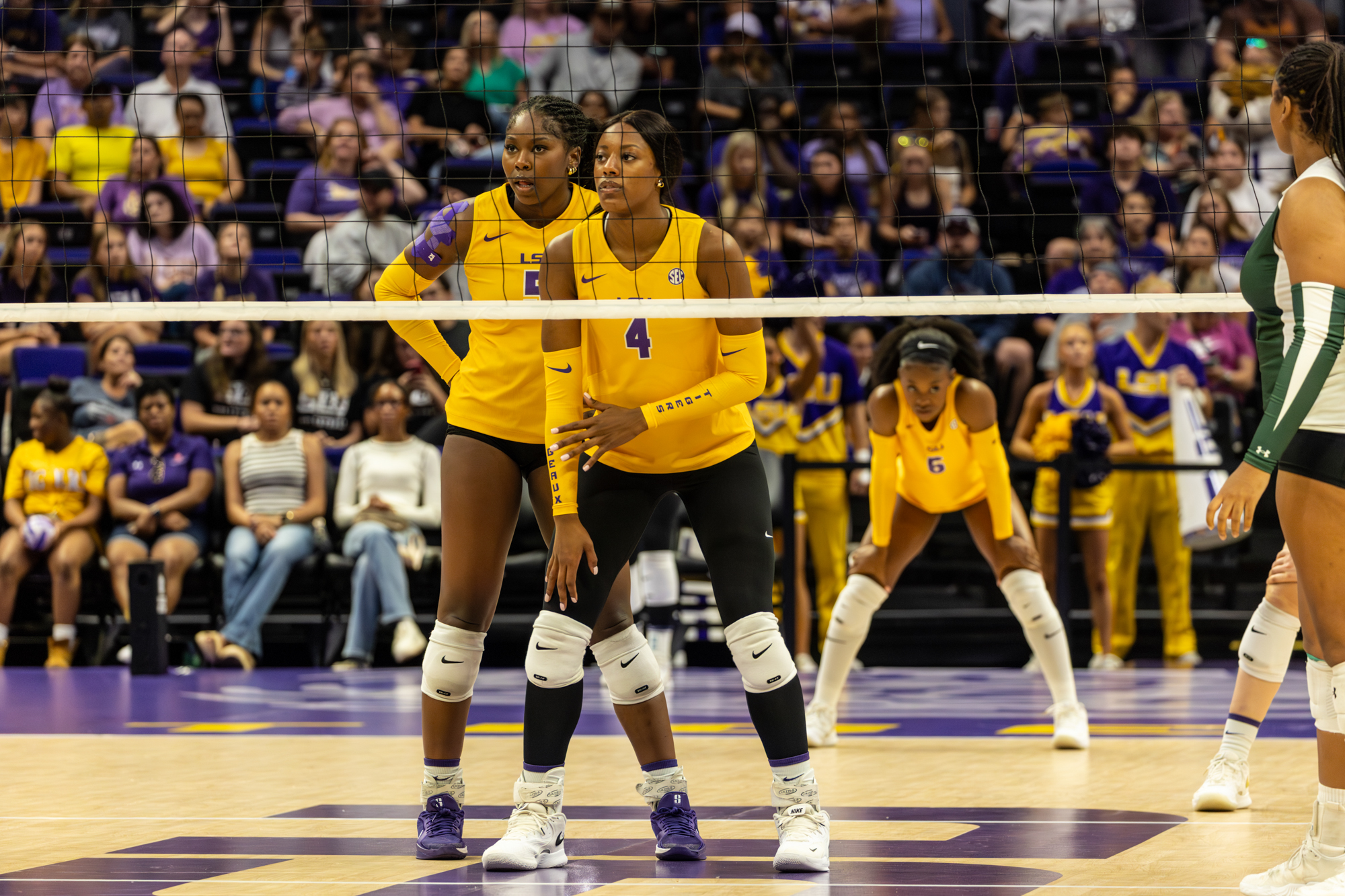 PHOTOS: LSU volleyball defeats Southeastern