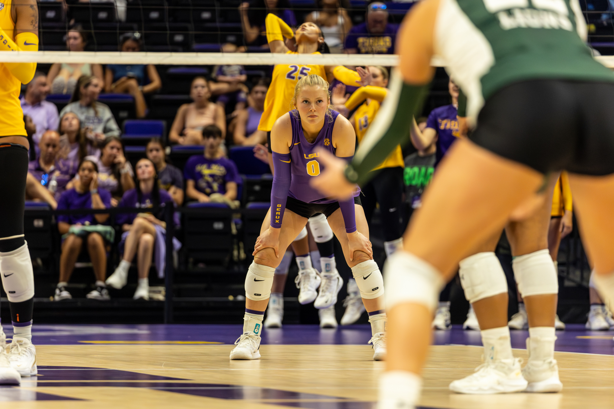 PHOTOS: LSU volleyball defeats Southeastern