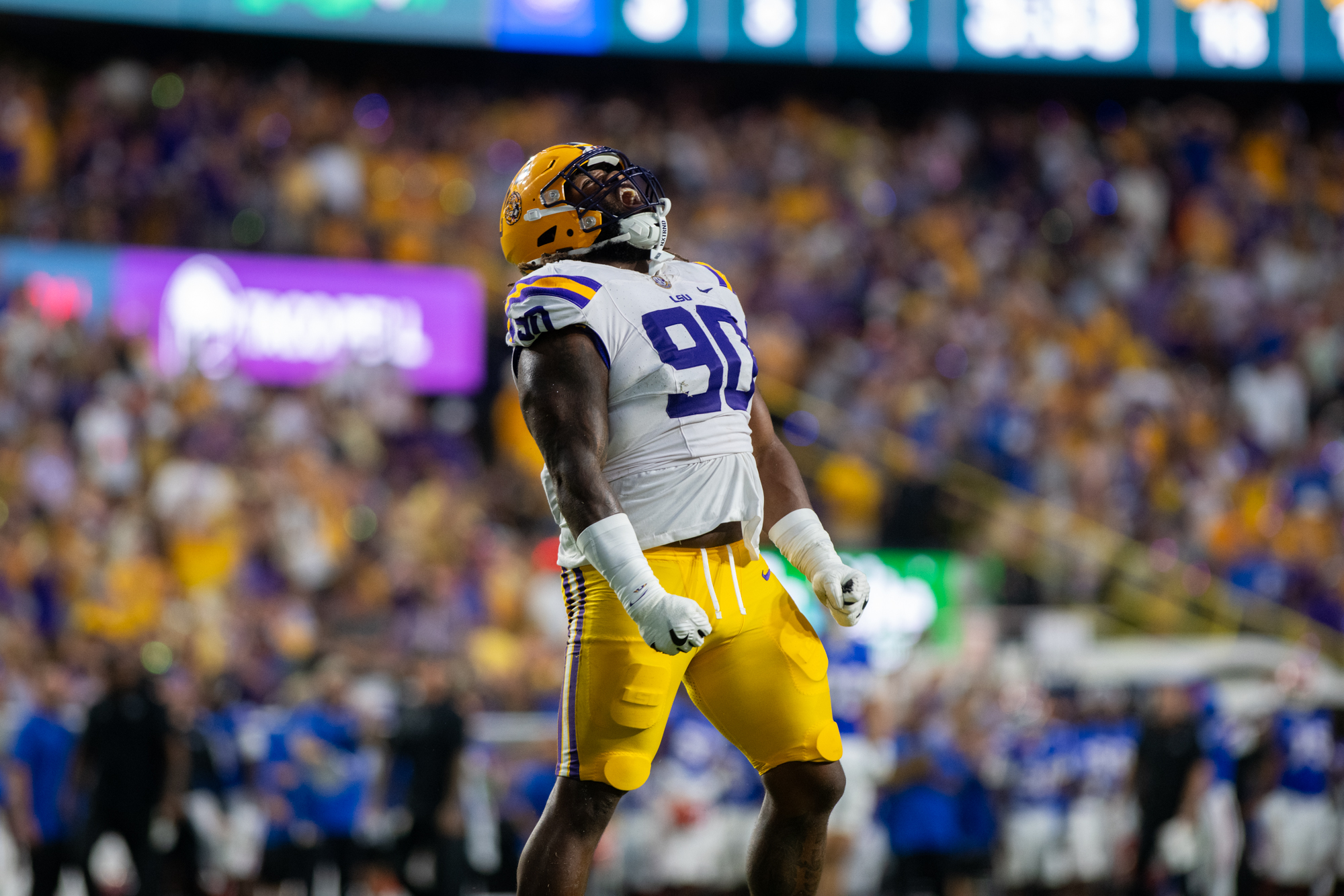 PHOTOS: LSU football defeats Florida