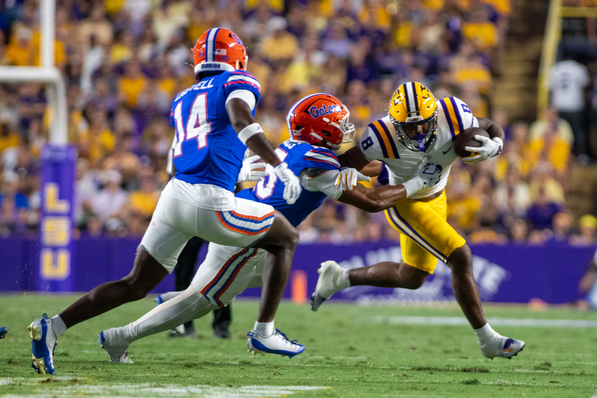 PHOTOS: LSU football defeats Florida