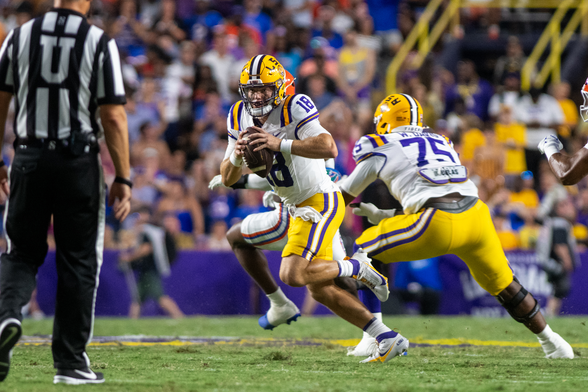 PHOTOS: LSU football defeats Florida