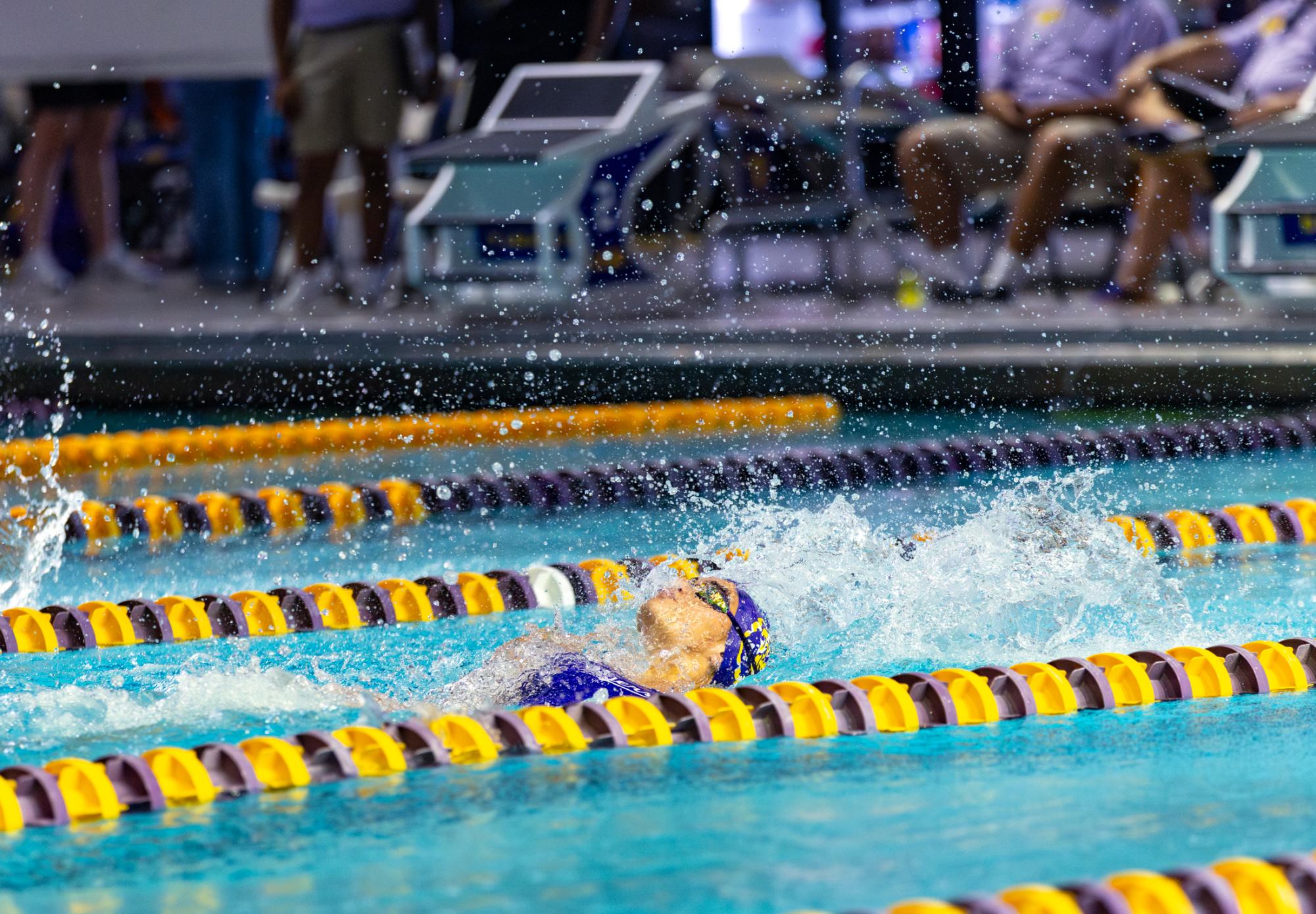 PHOTOS: LSU Swim and Dive starts season with Purple and Gold Intrasquad