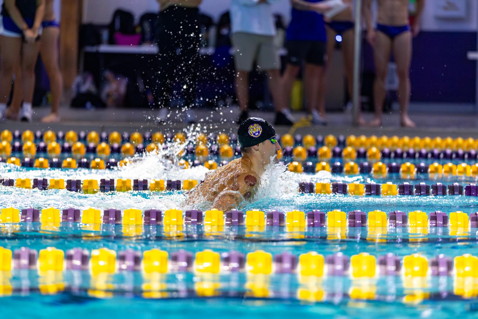 PHOTOS: LSU Swim and Dive starts season with Purple and Gold Intrasquad